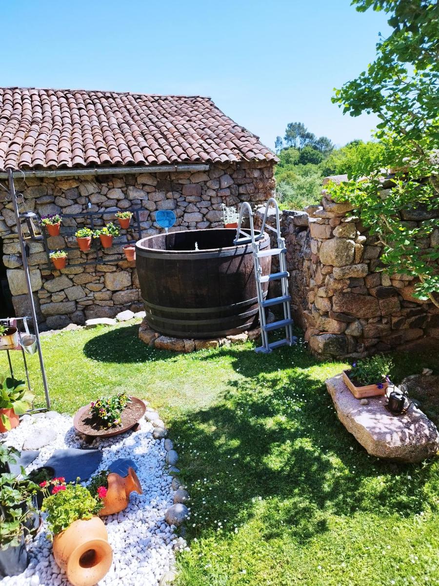 Casa Elvira photo 5