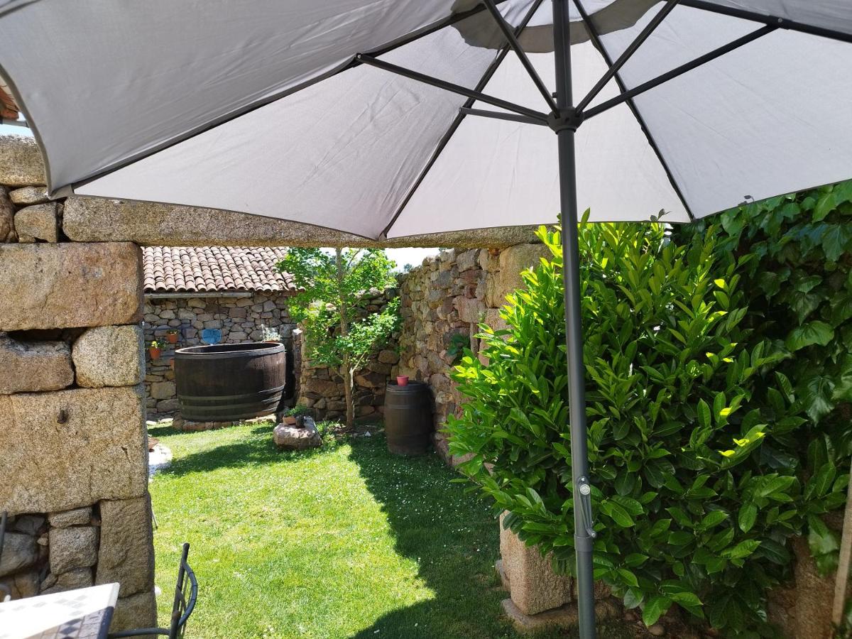 Casa Elvira photo 4