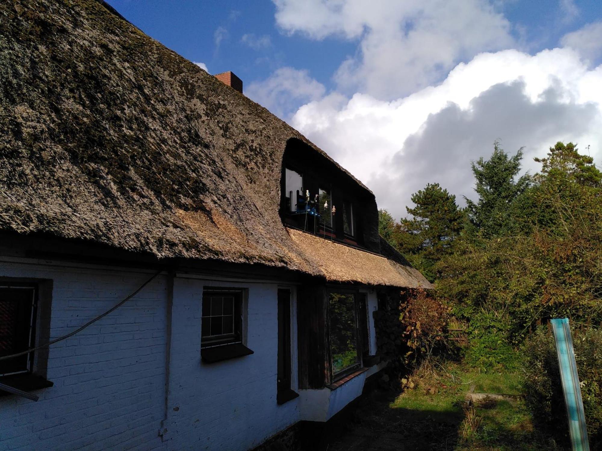 Ferienwohnungen im Reetdachhaus