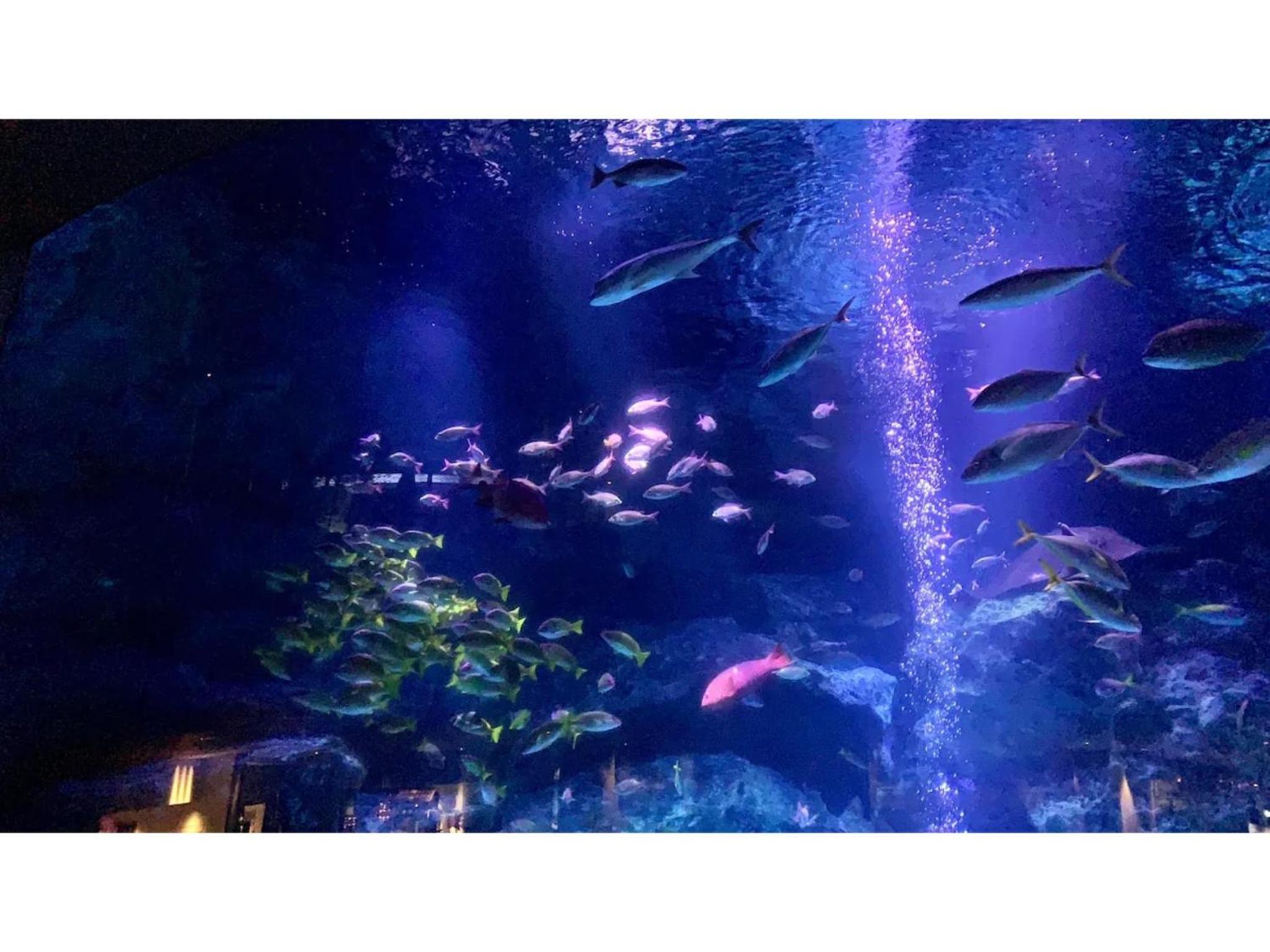 KIKO HOUSE - Vacation STAY 42464v