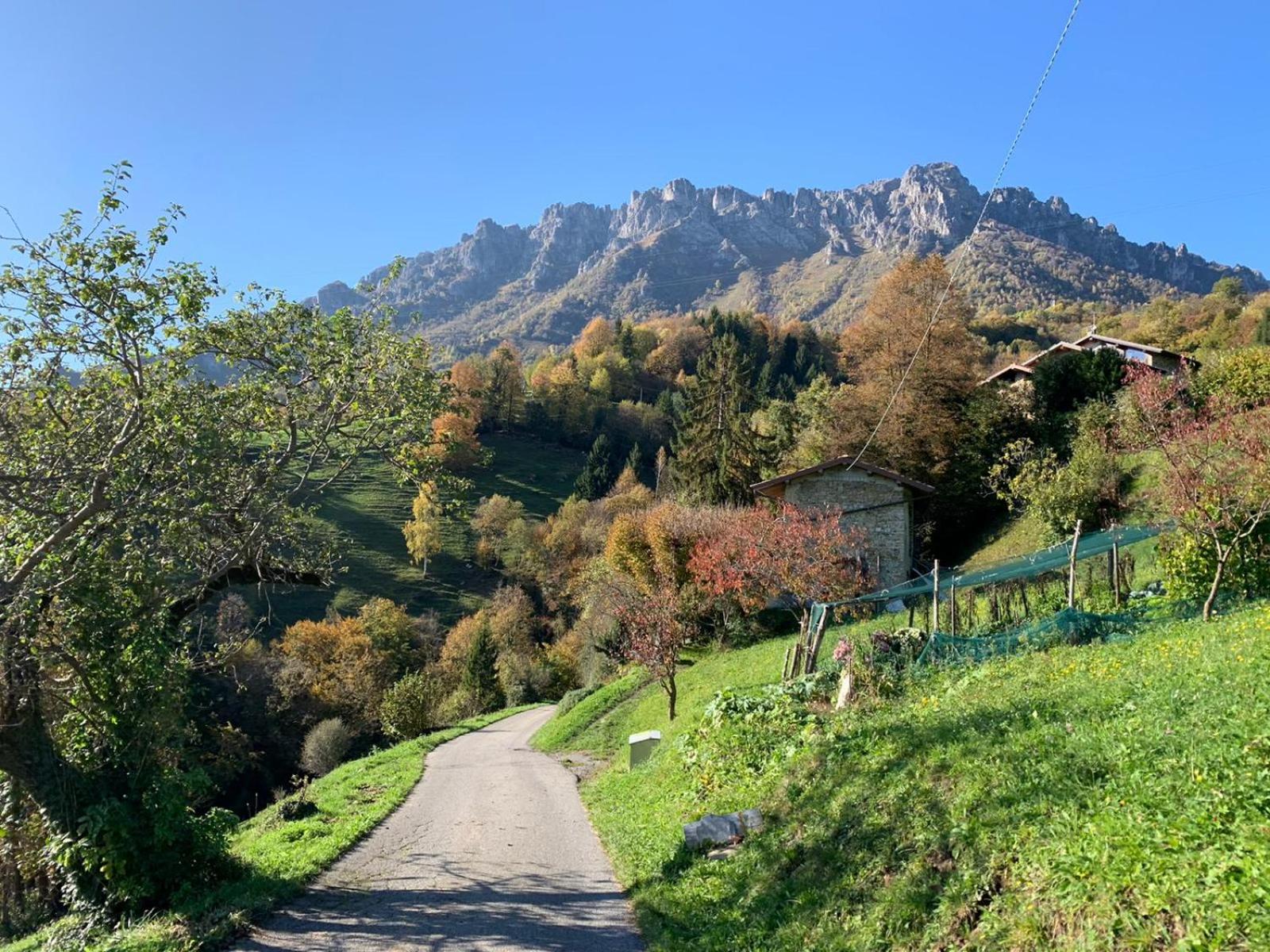 La casa del bosco view 2
