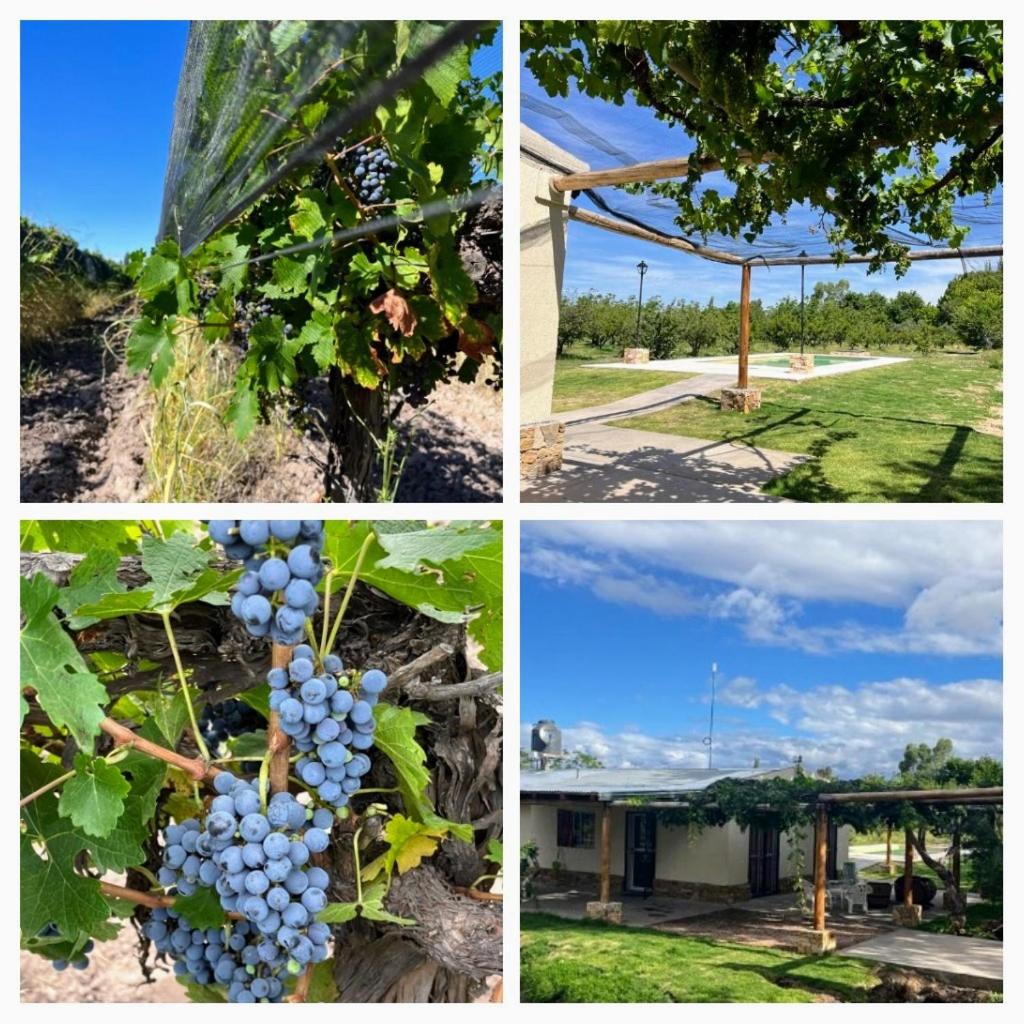 Finca El Vencedor