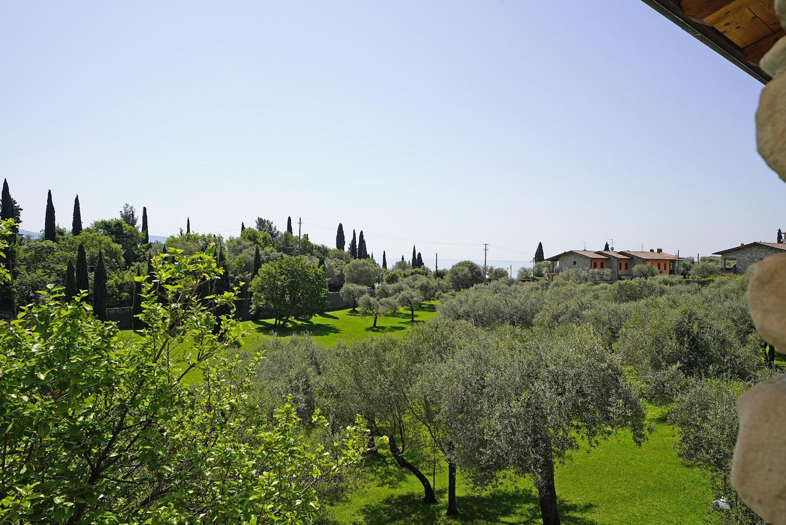 Photo 42