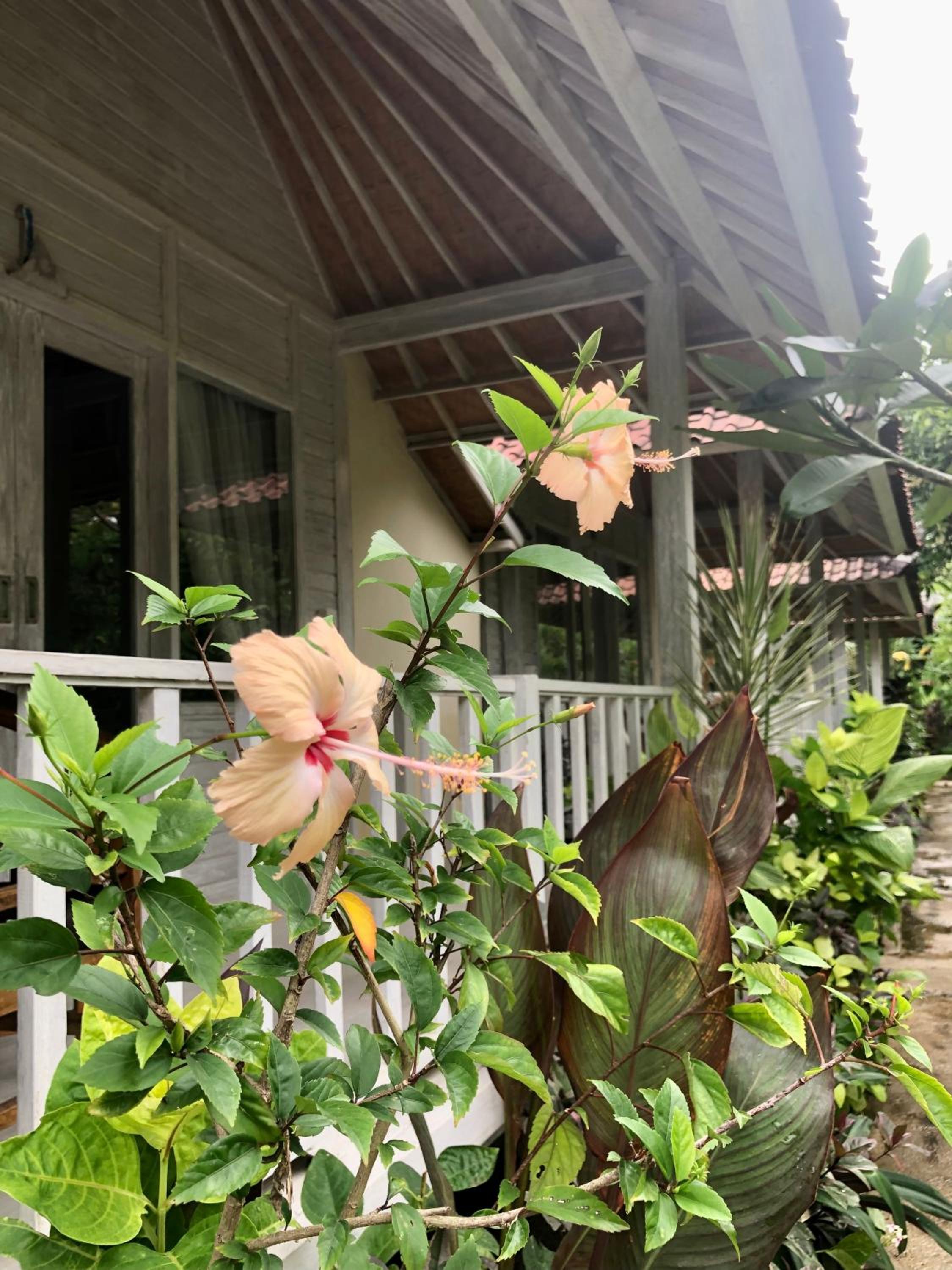 The Lucky Cottage view 5