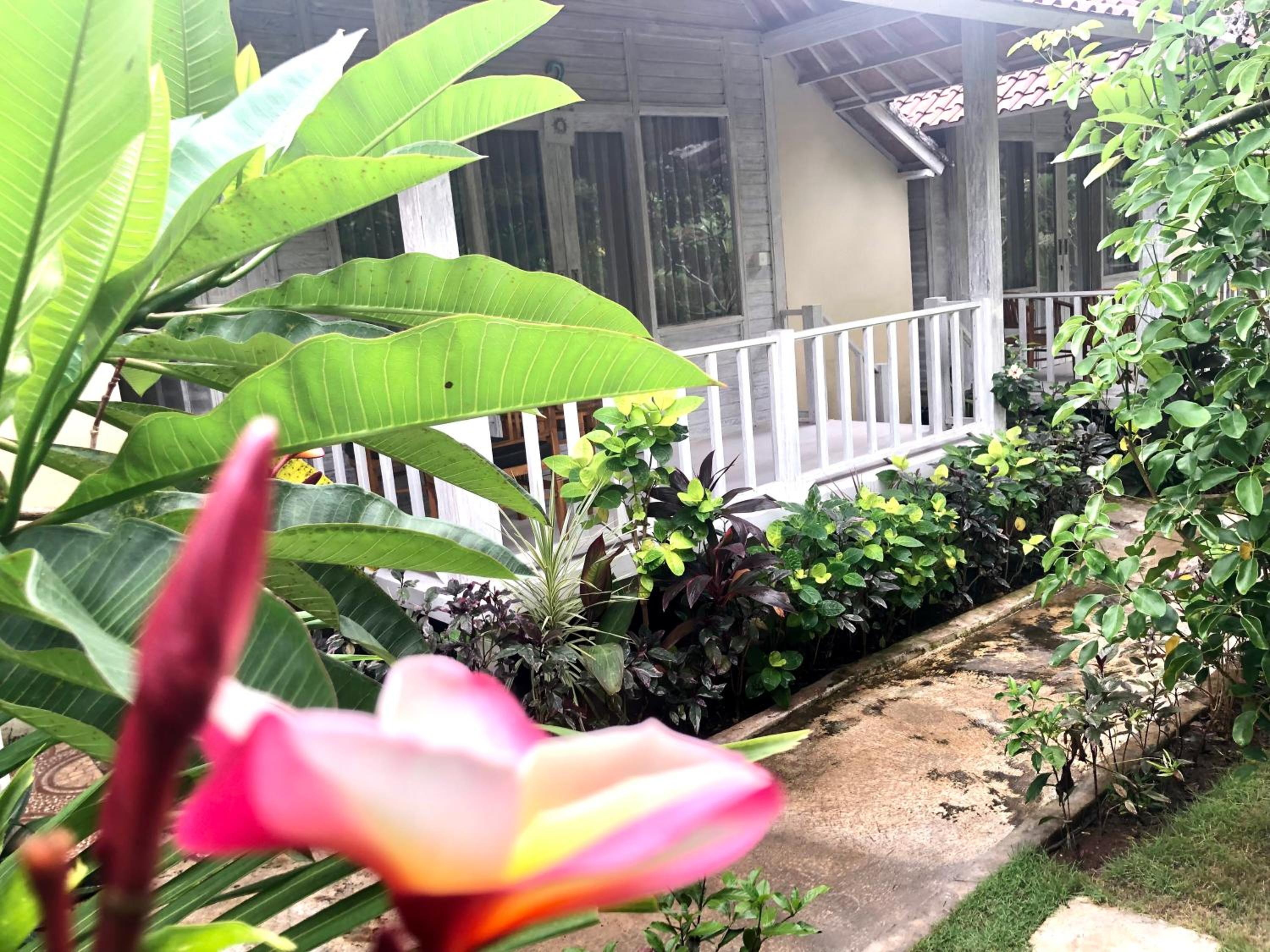 The Lucky Cottage view 3