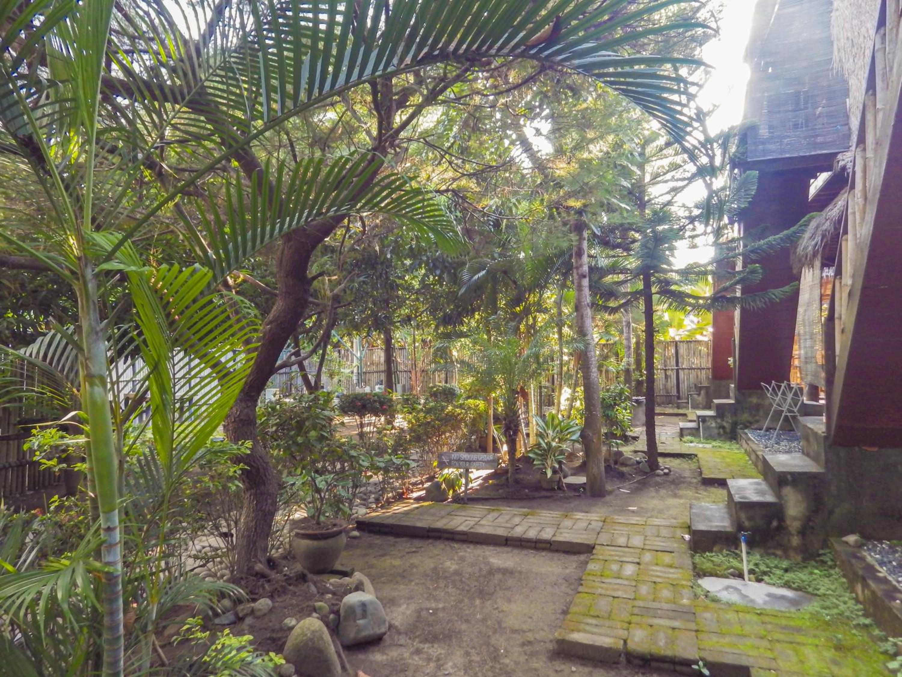 Photo 21