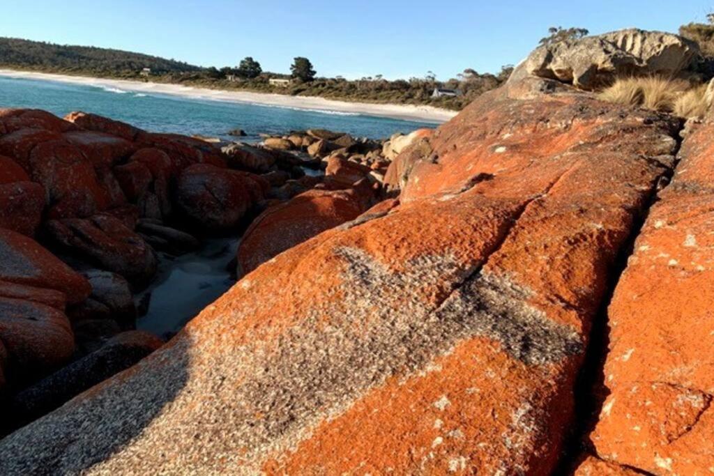 Lillybell Beach Retreat-Binalong Bay