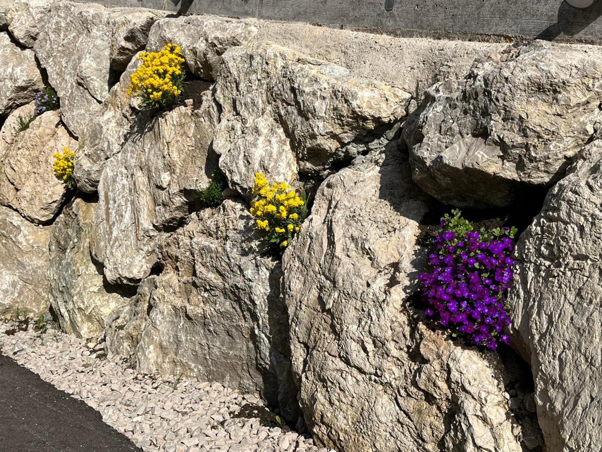 Ferienwohnungen Kalss nahe Altaussee