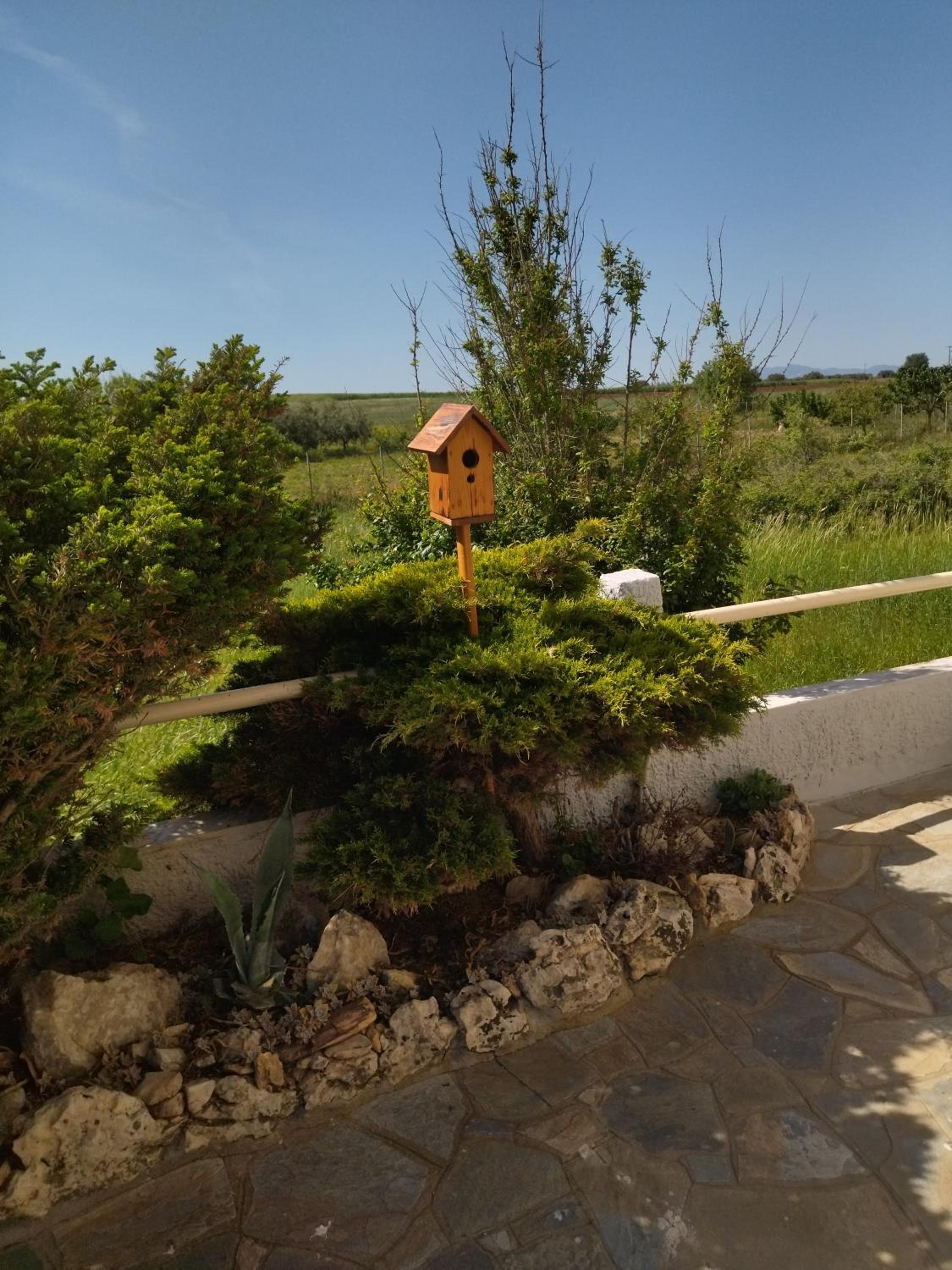 Photo 19