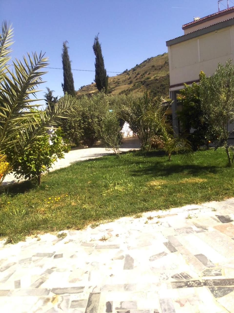 Photo 32