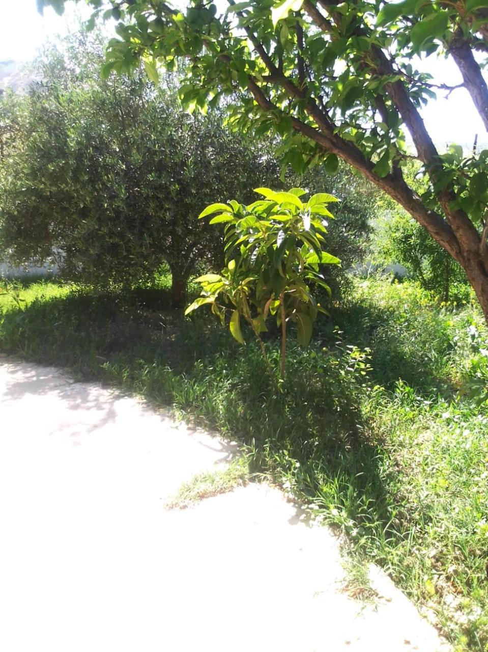 Photo 33