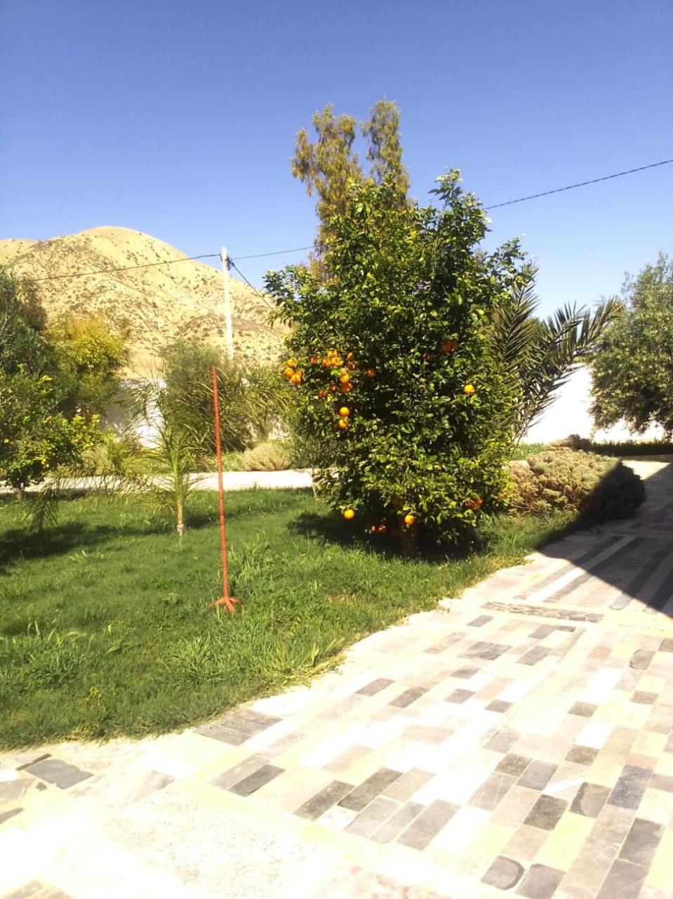 Photo 34