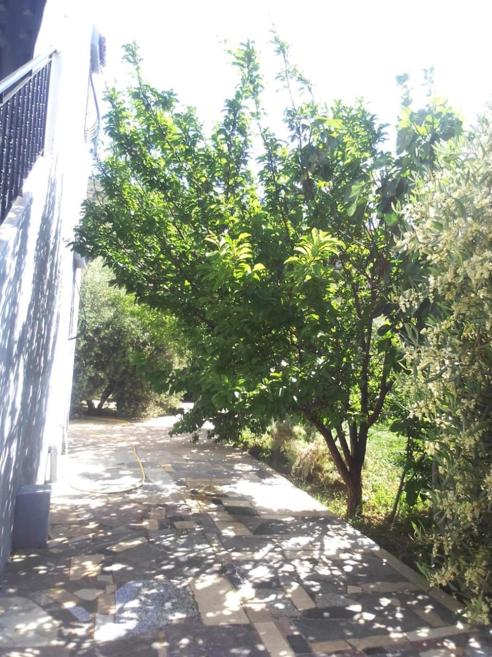 Photo 35
