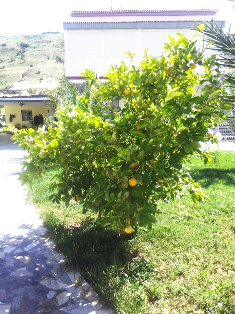 Photo 36