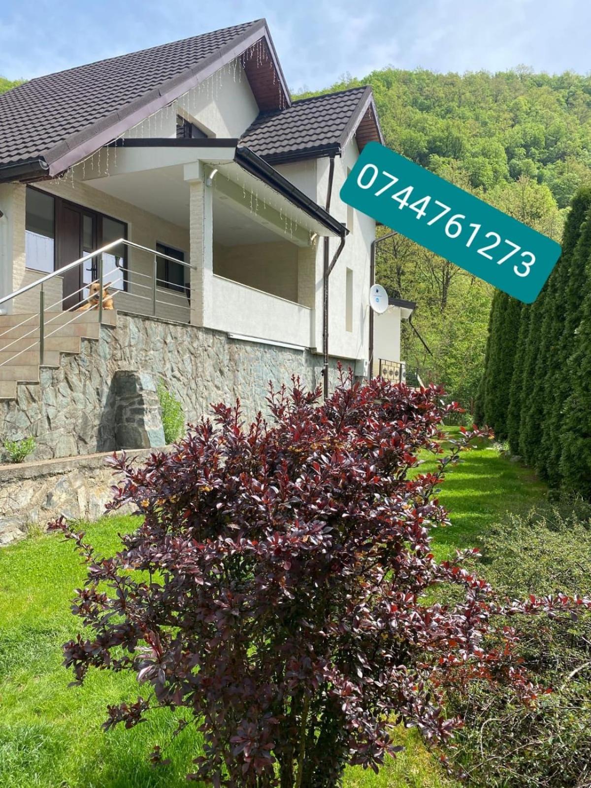 Casa dintre Brazi Hunedoara view 5