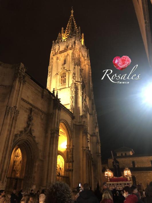 ROSALES Apartamento y jardín