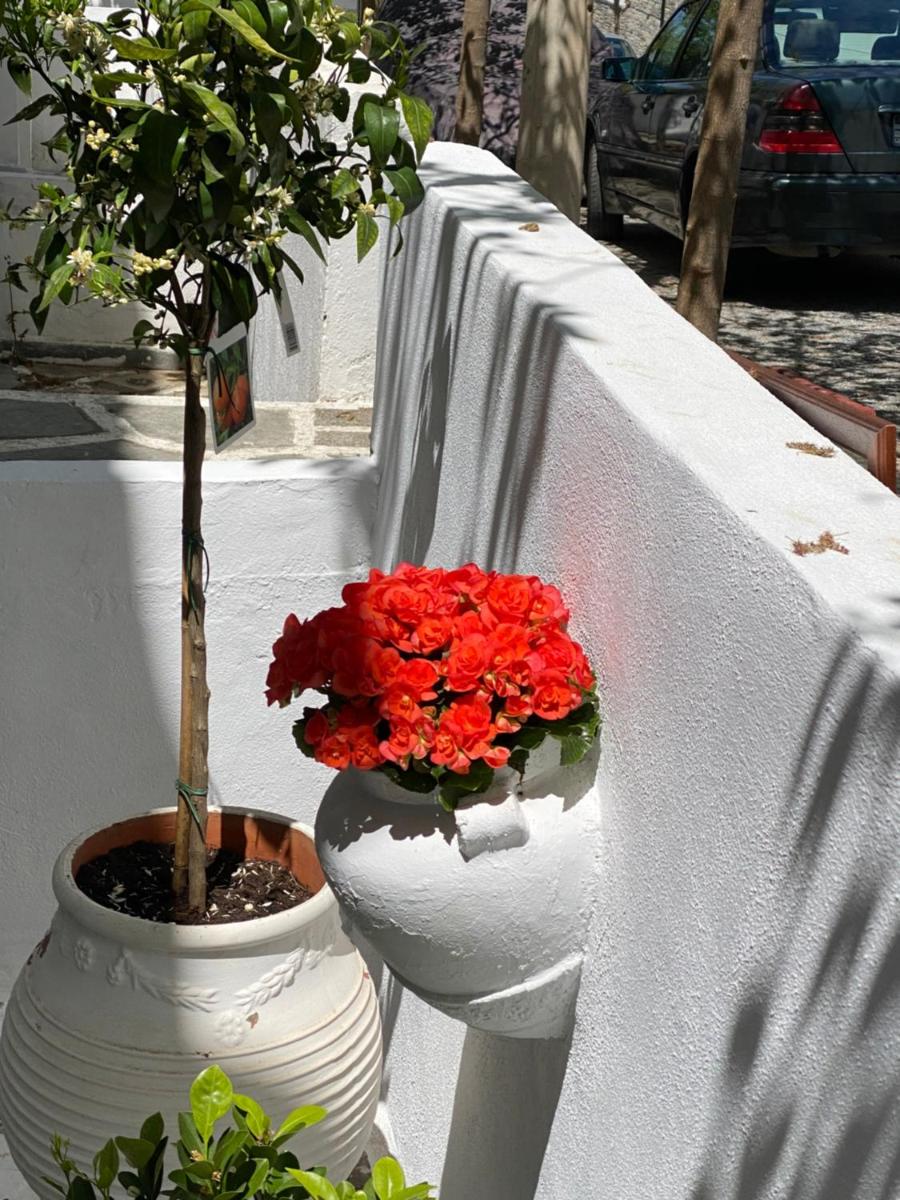 Mina House Siviri photo 3