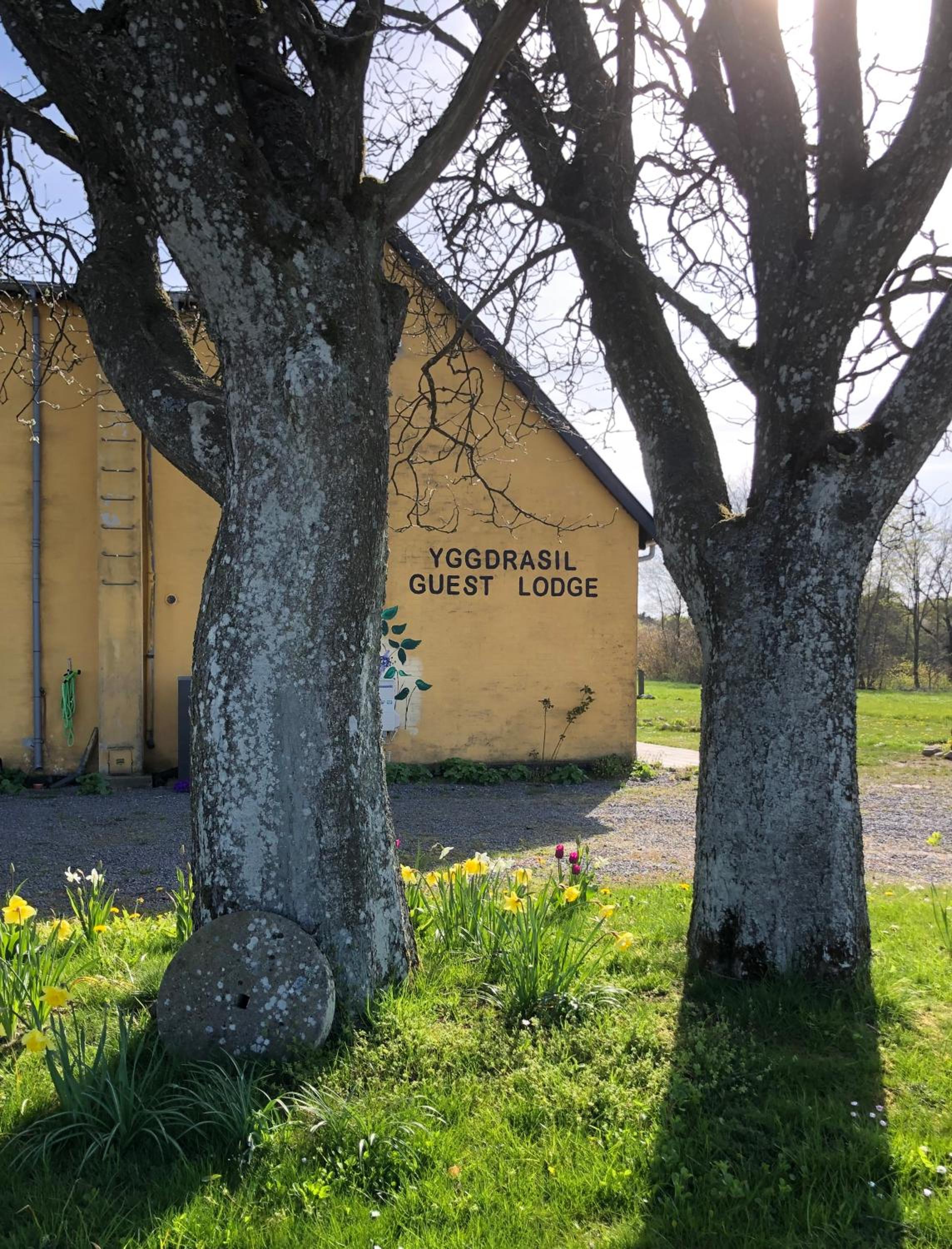 Yggdrasil Guest Lodge