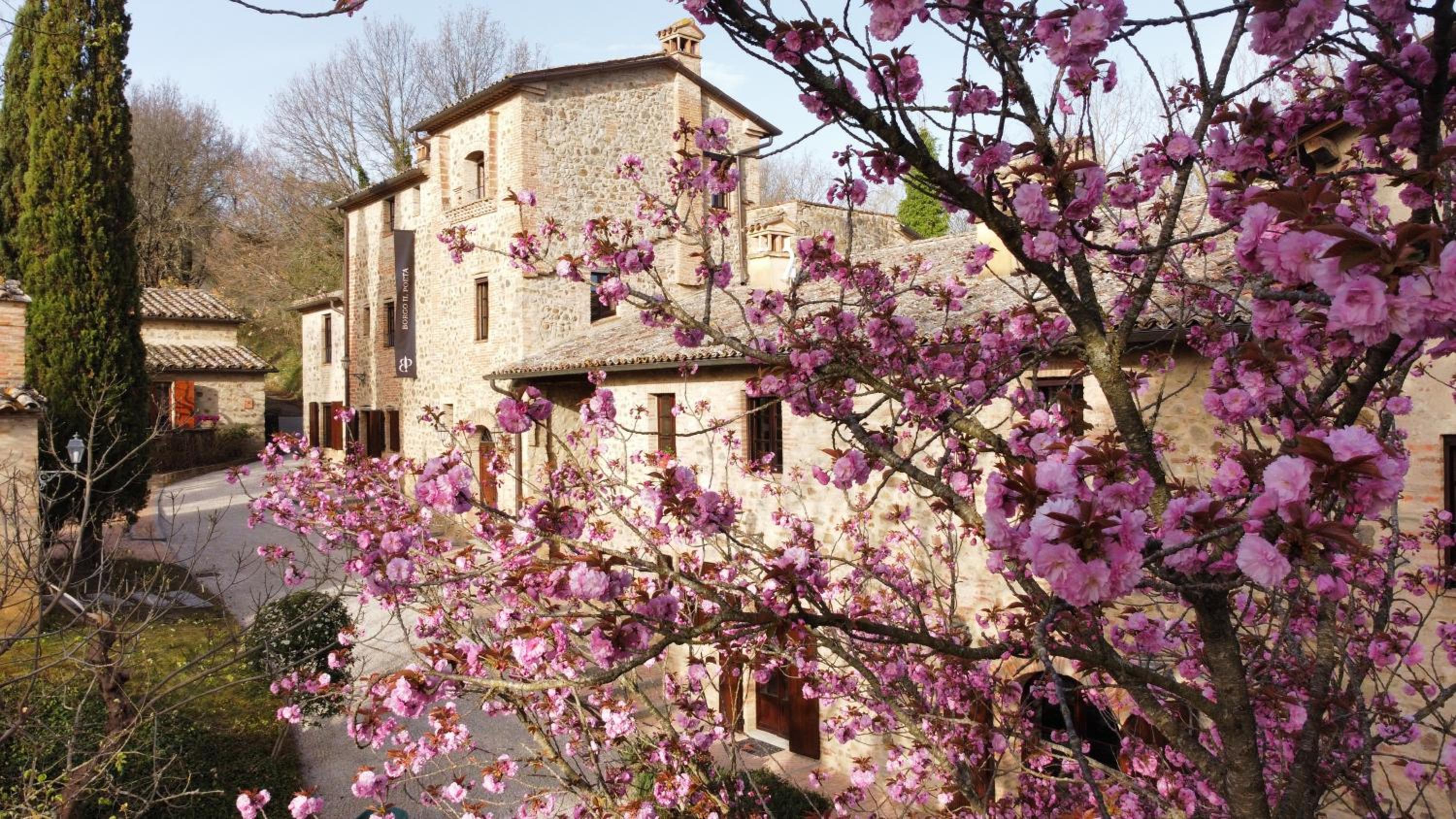 Borgo Il Poeta view 3