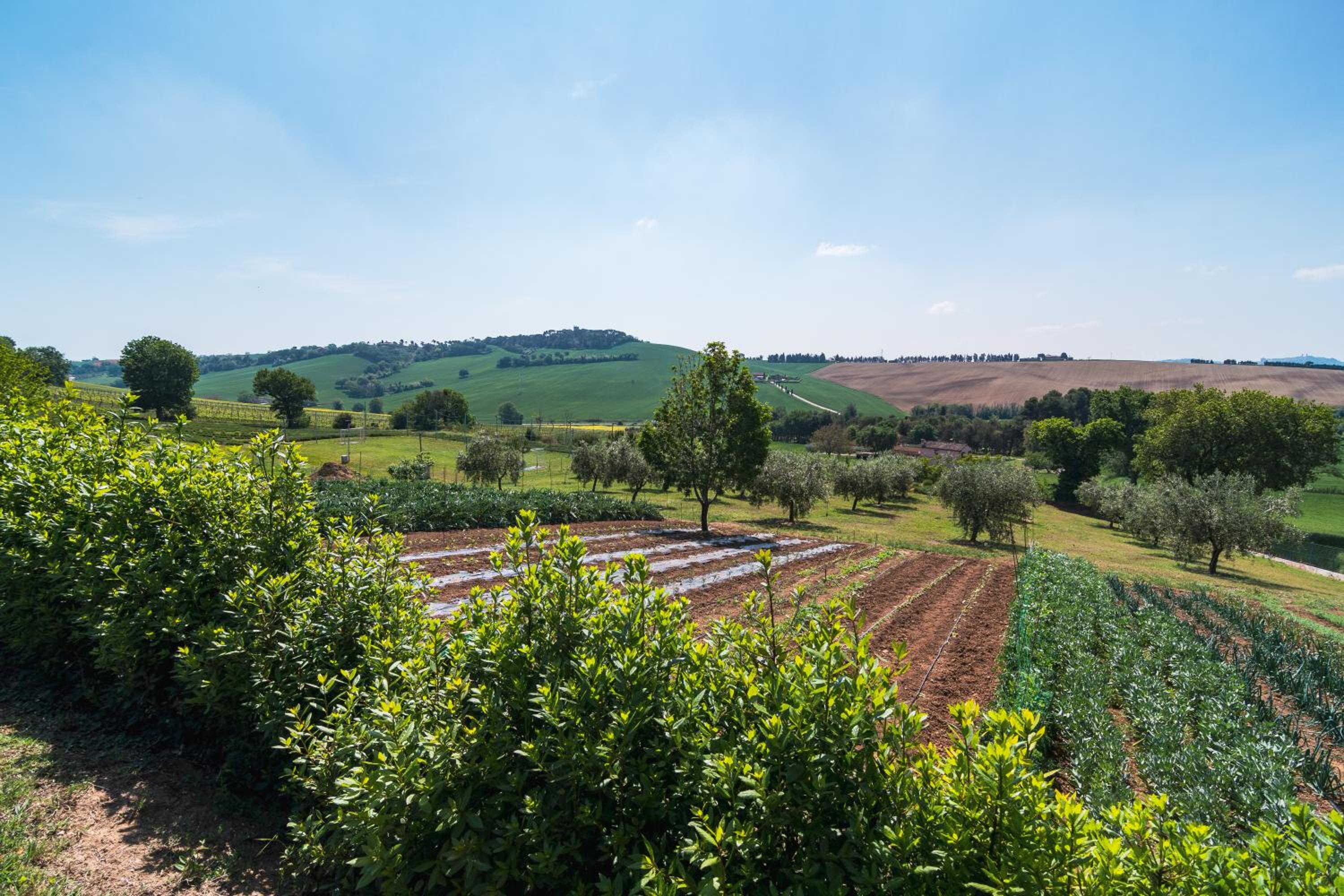 Agriturismo Case al Sole
