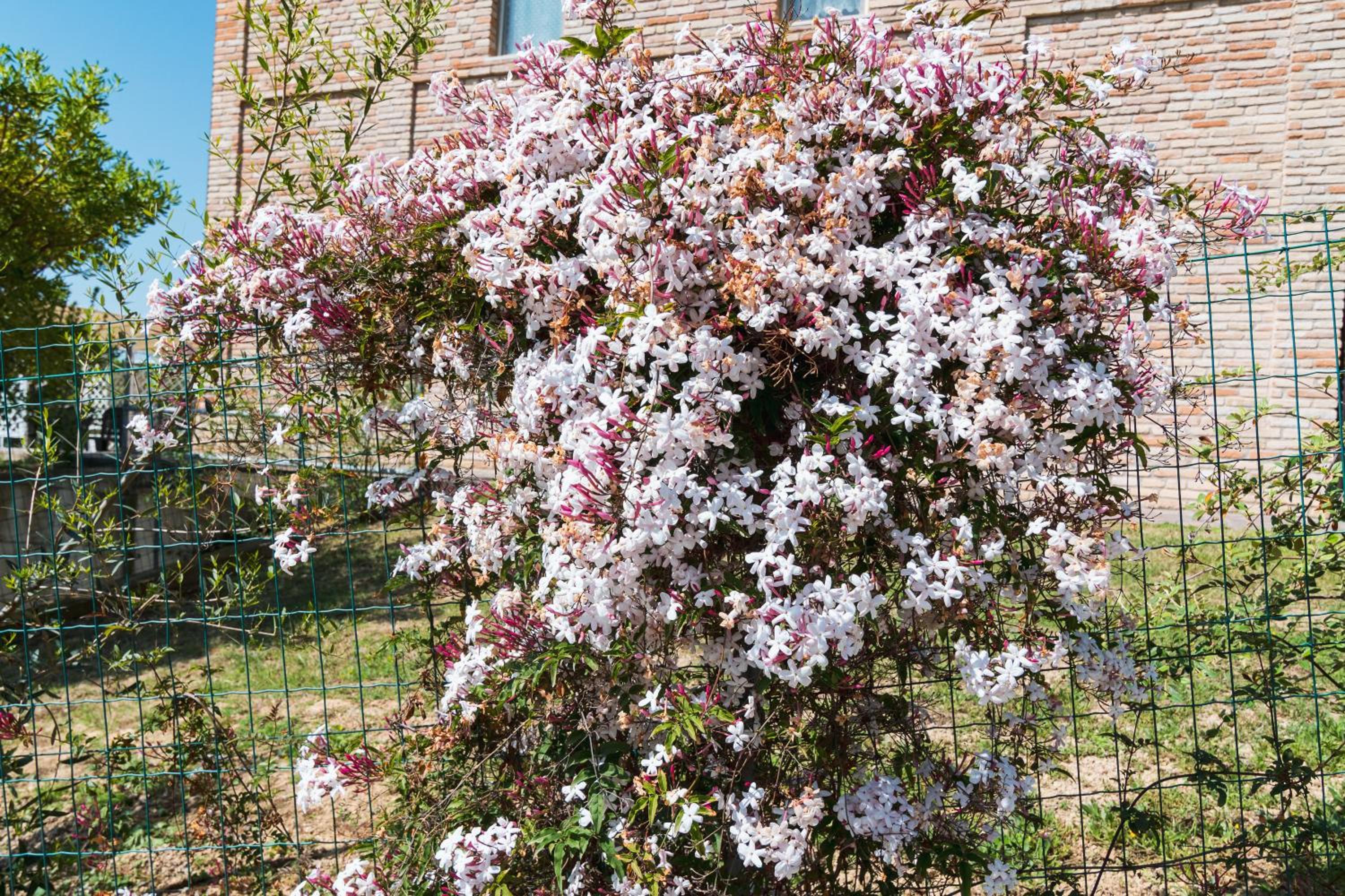 Agriturismo Case al Sole