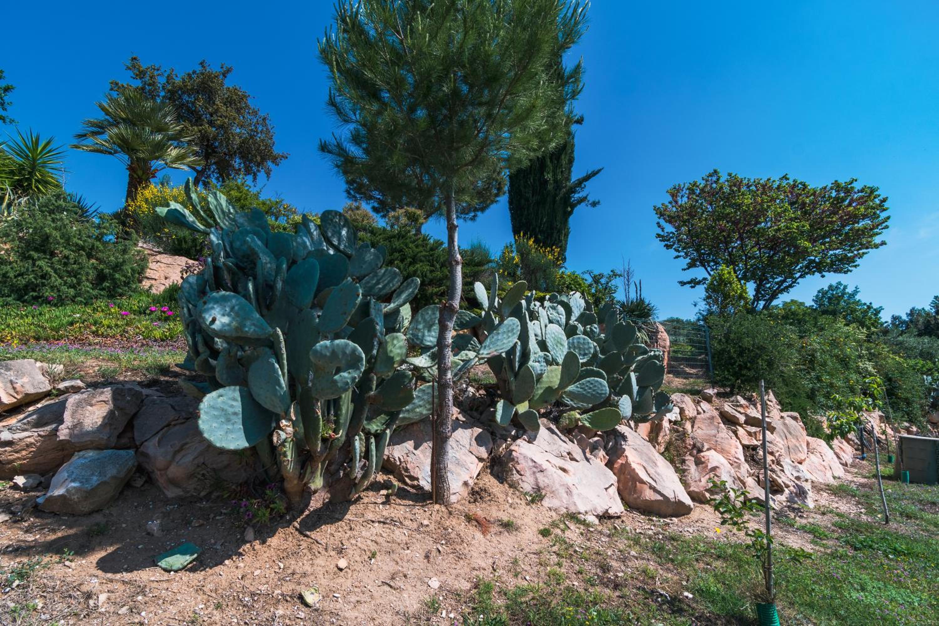 Agriturismo Case al Sole