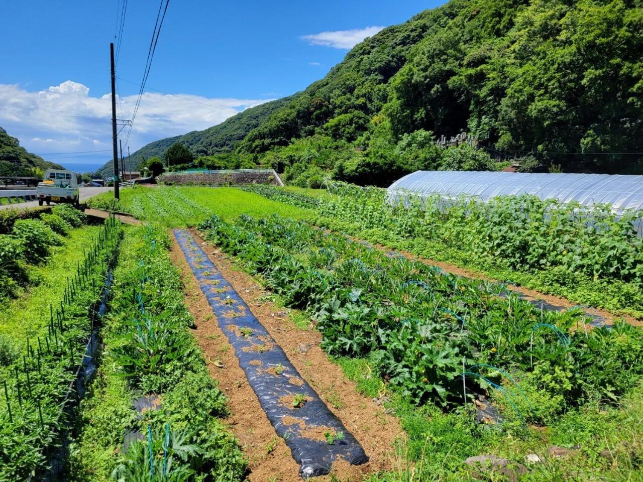 AWA Nishi-Izu
