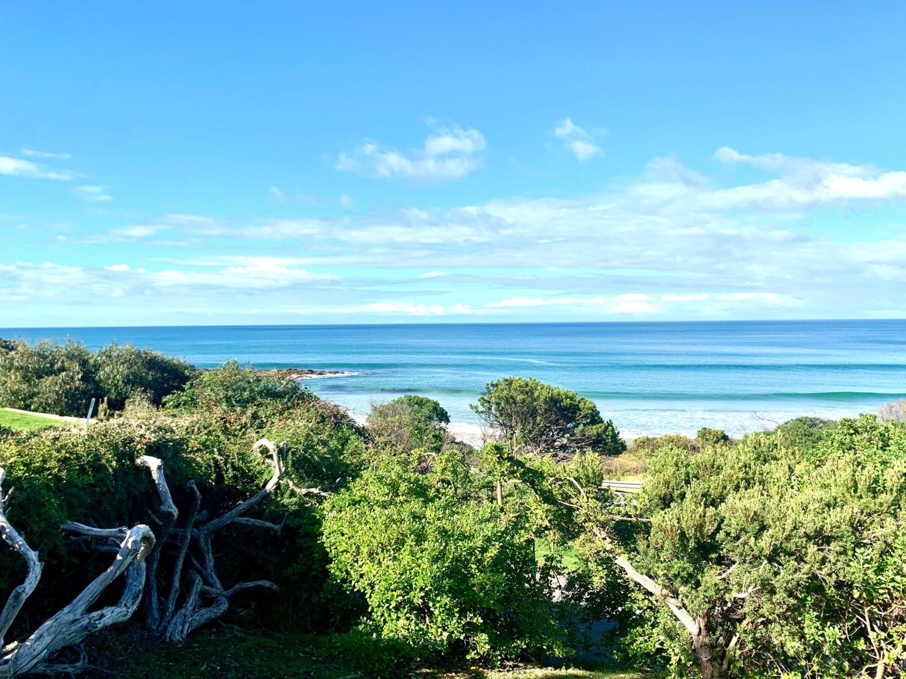 Surf Shack