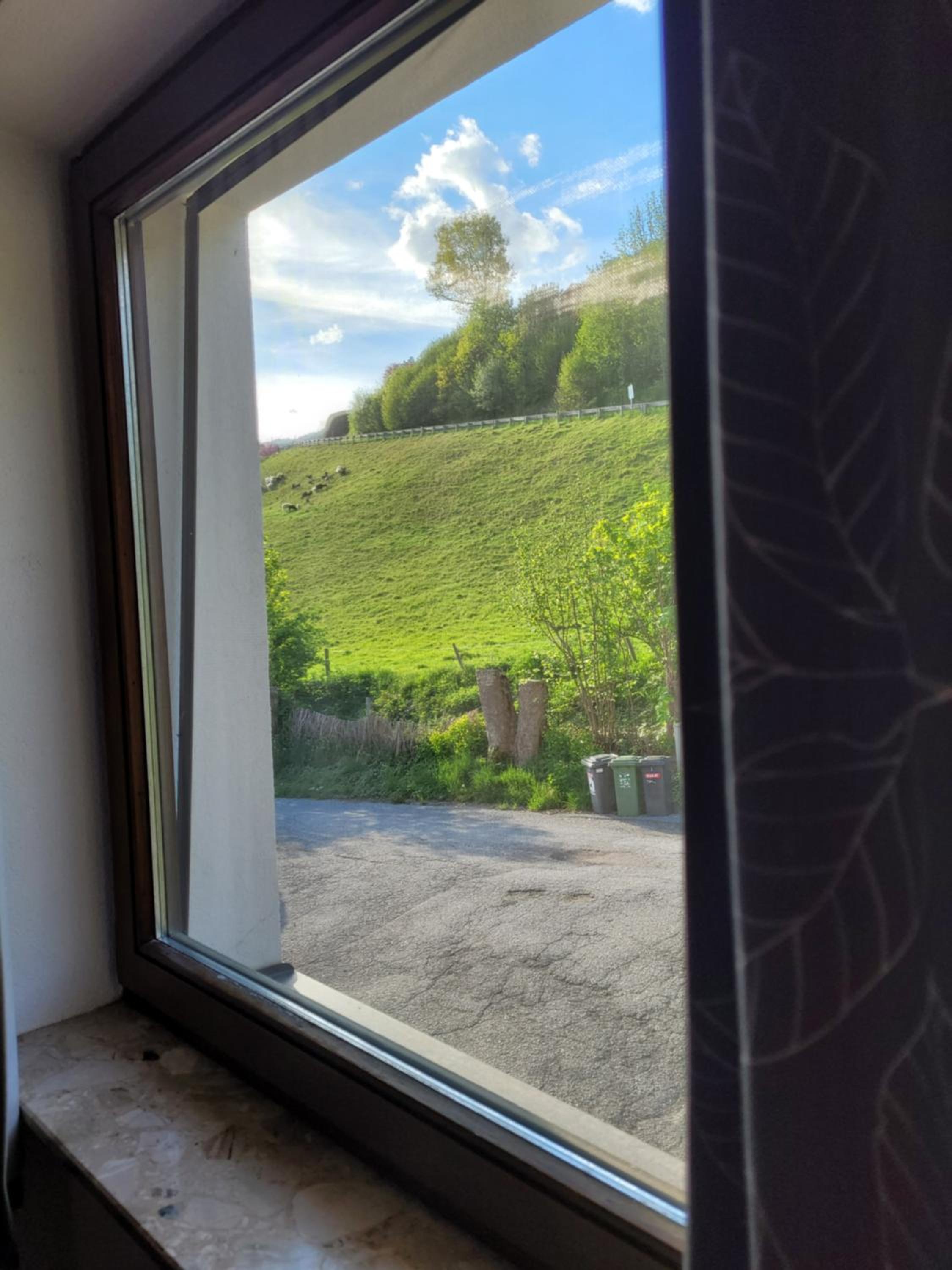Mountain View near Kaprun - Steinbock Lodges