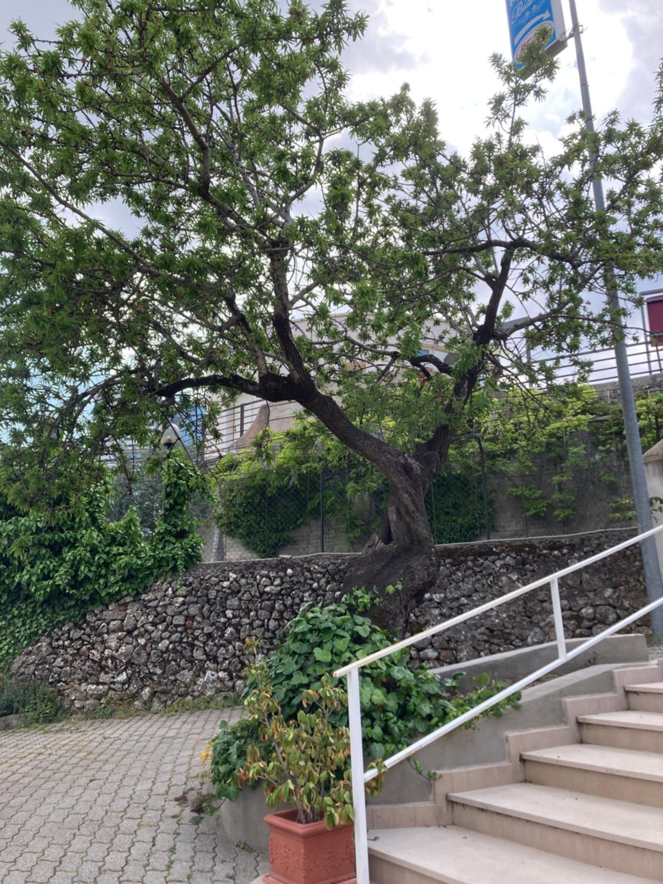 Photo 22