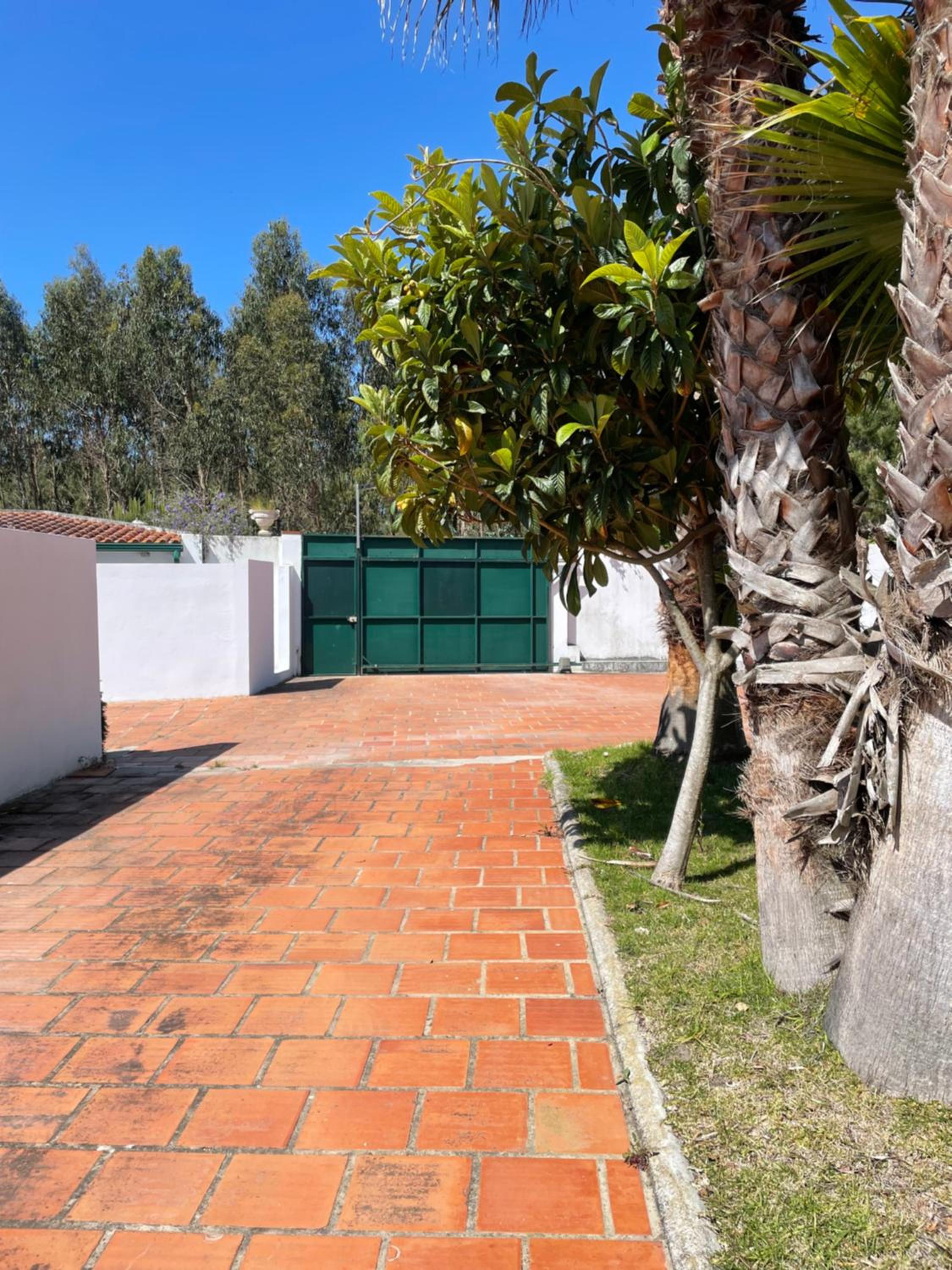 A Quinta Duna