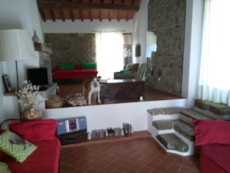Photo 15
