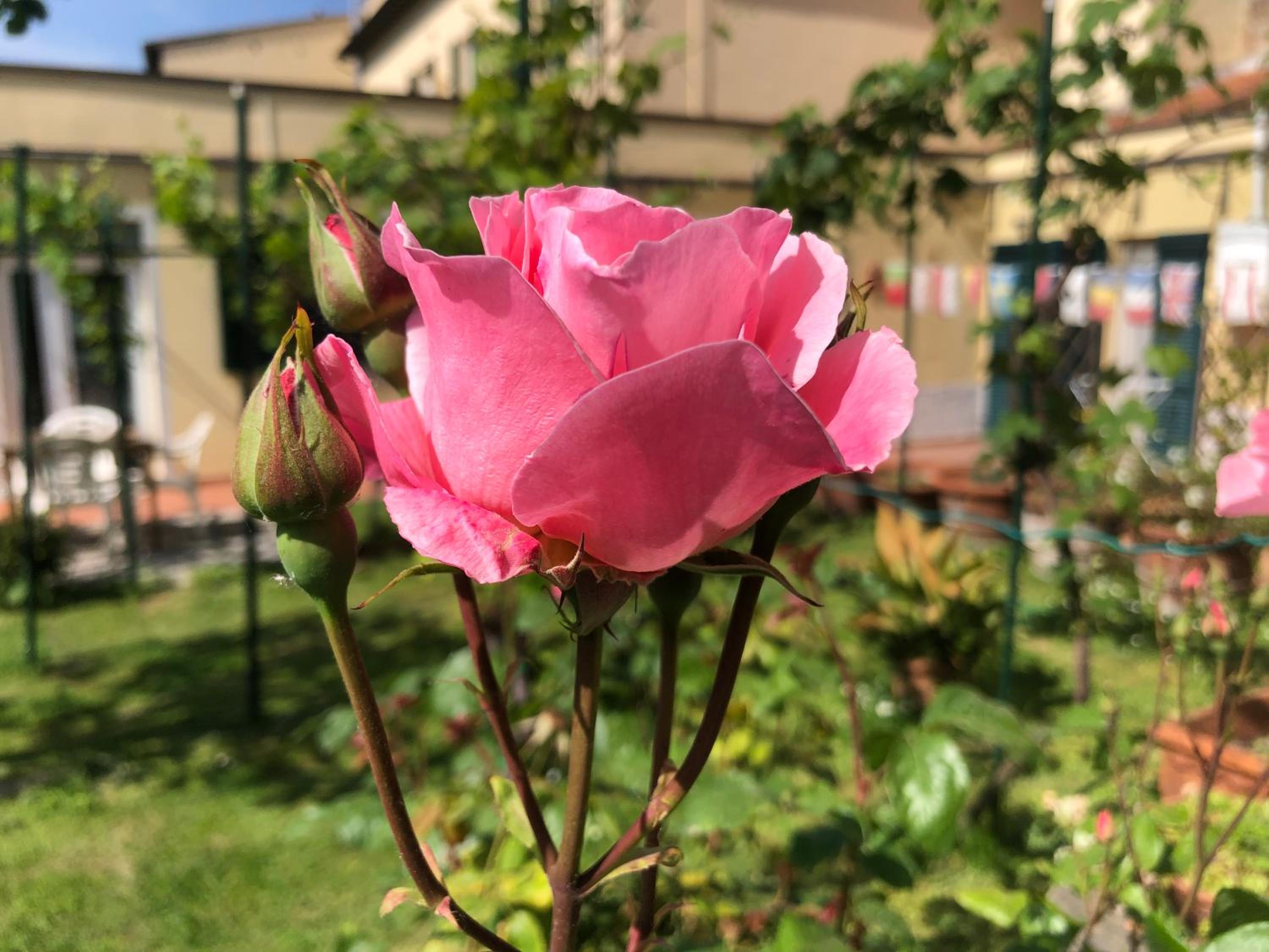 Photo 18