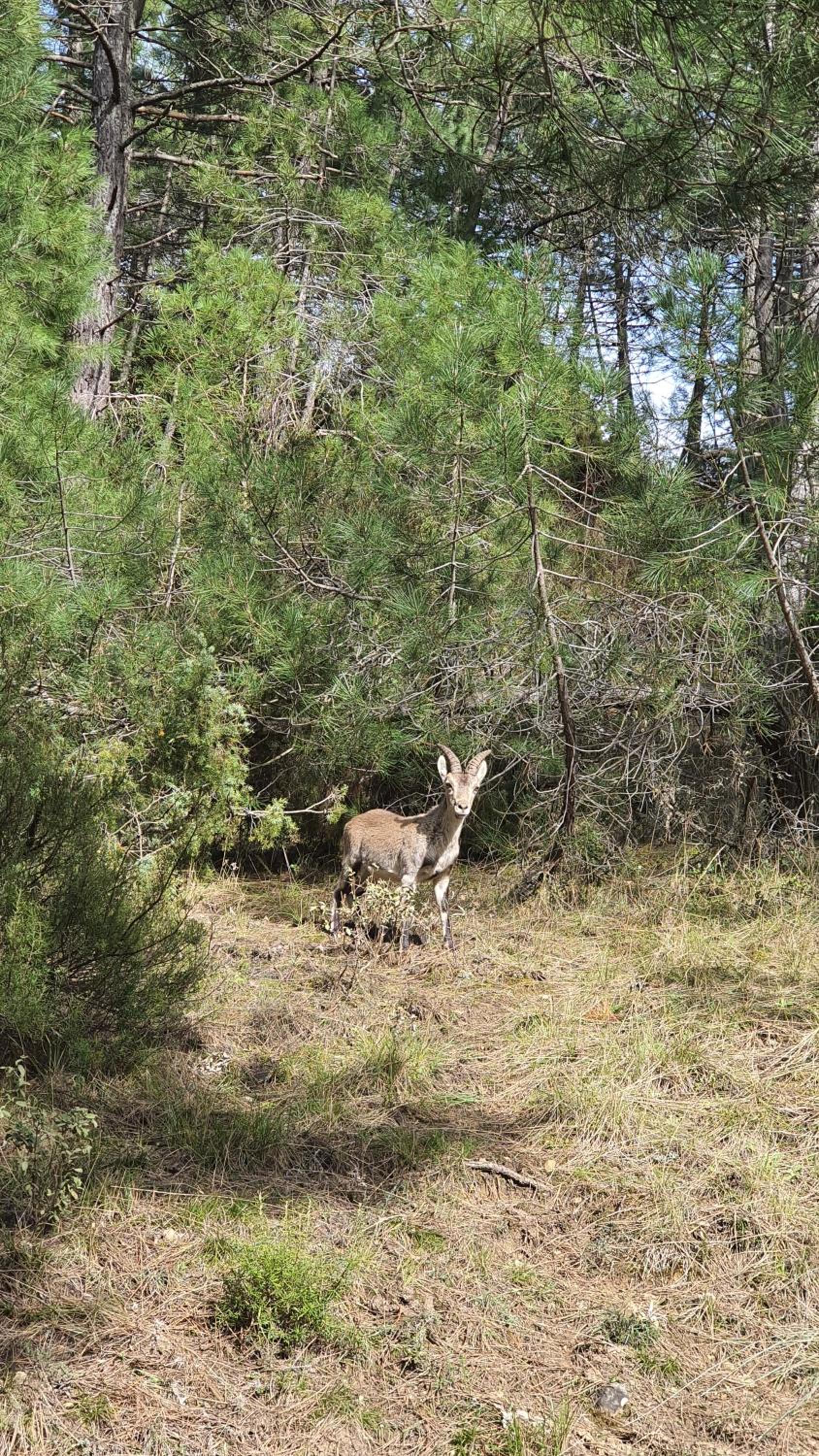 Photo 46