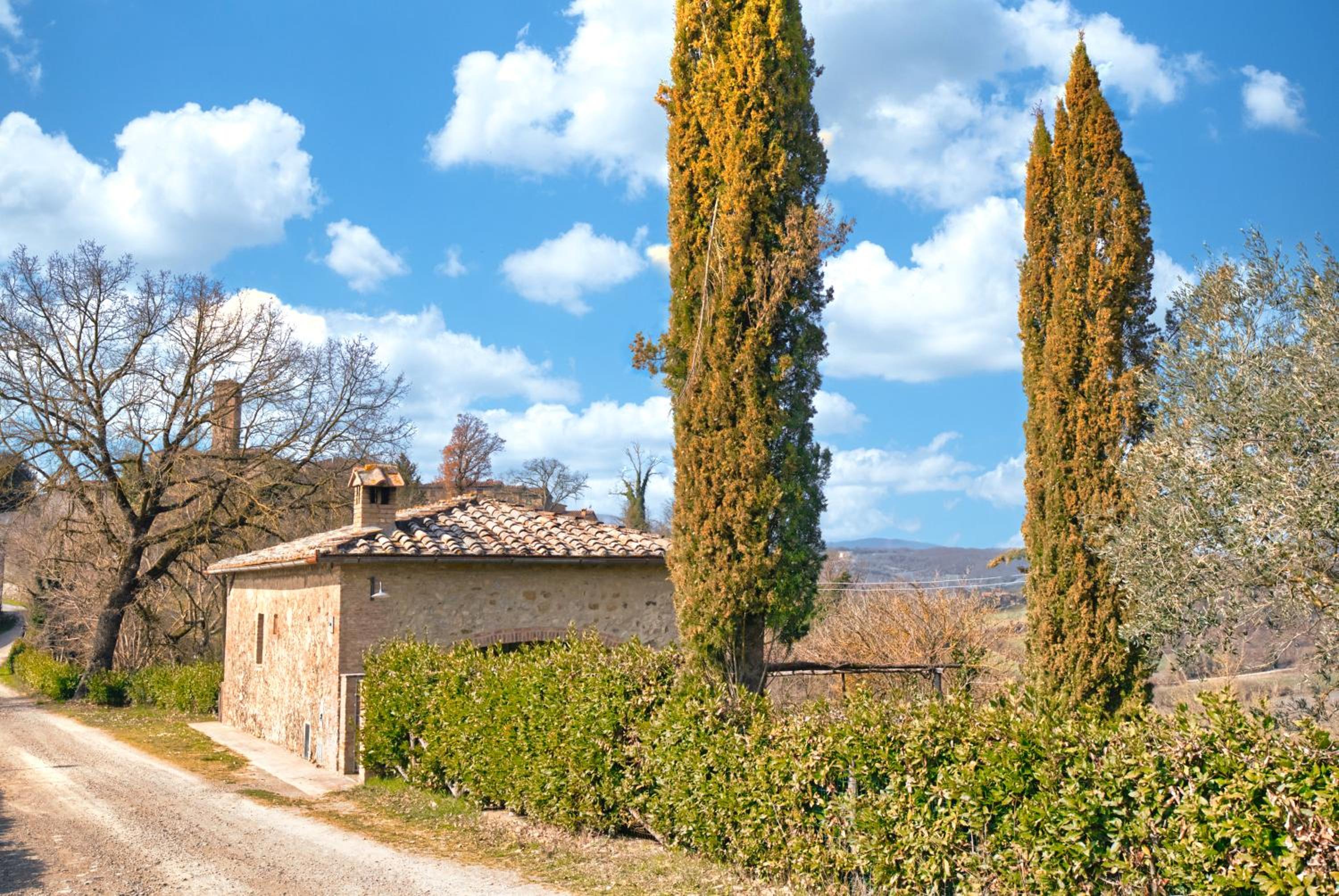 Verzure photo 2