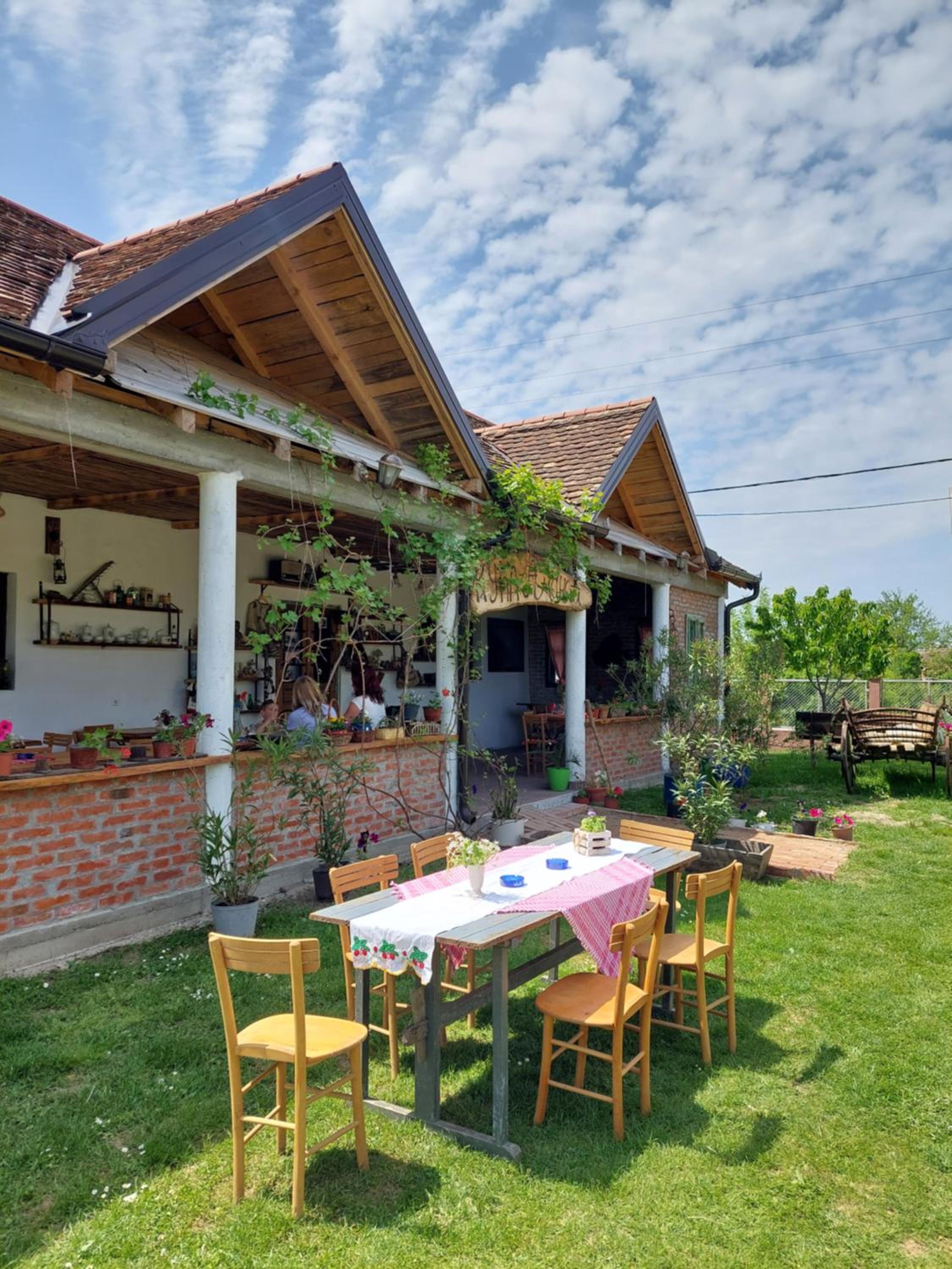 Amanet House Zasavica view 2
