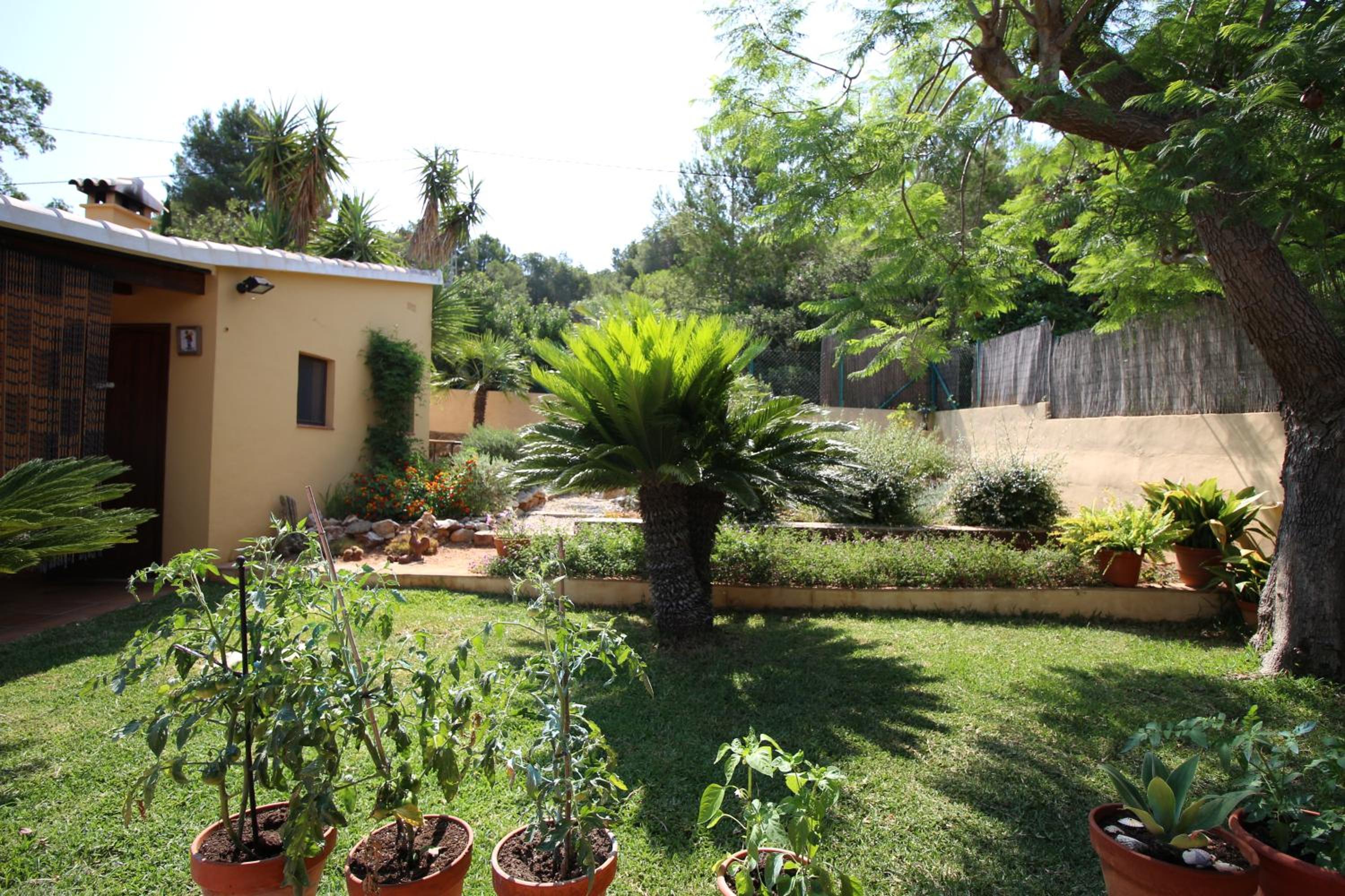 Casa Llorens