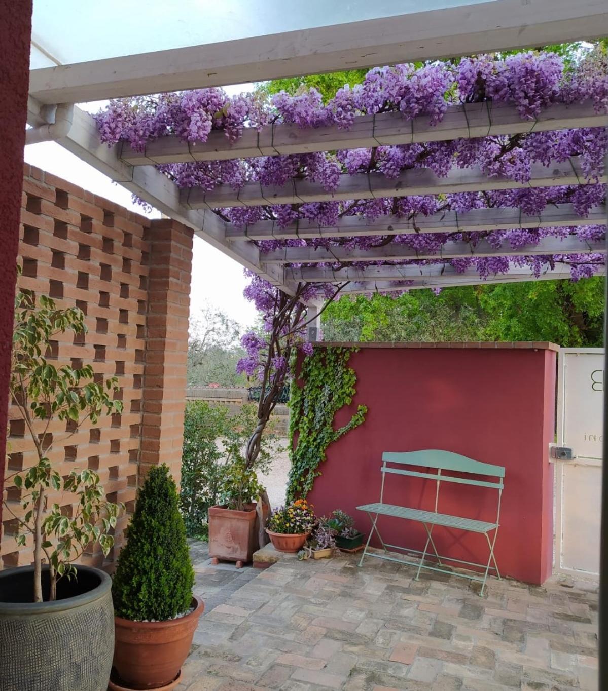 B&B Le Stagioni photo 4