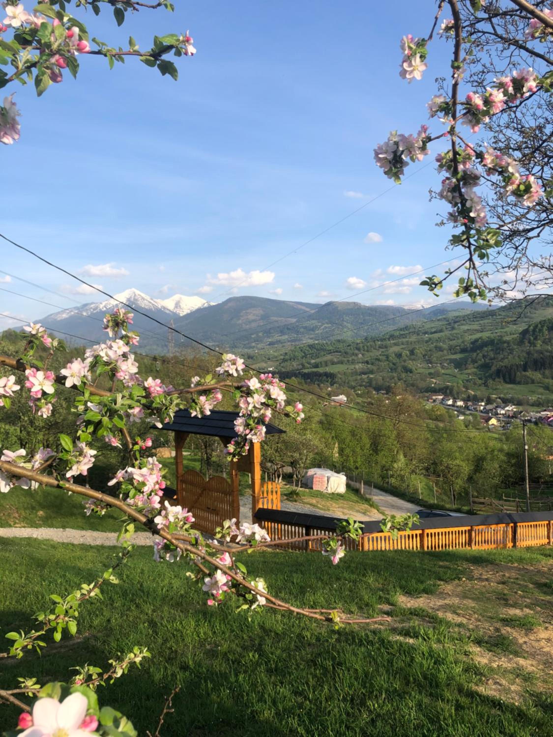 Cabana HATERE view 2