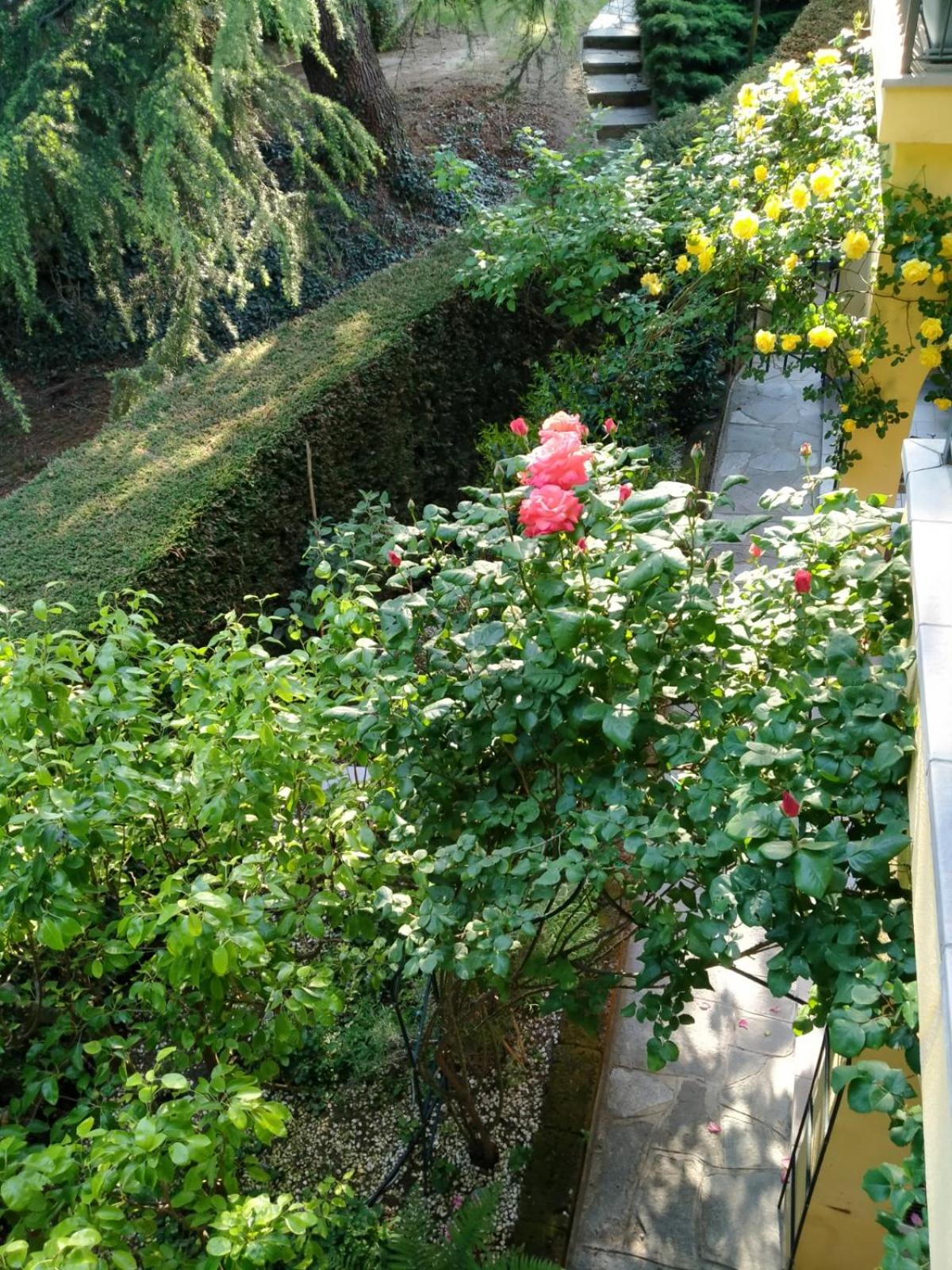Photo 8