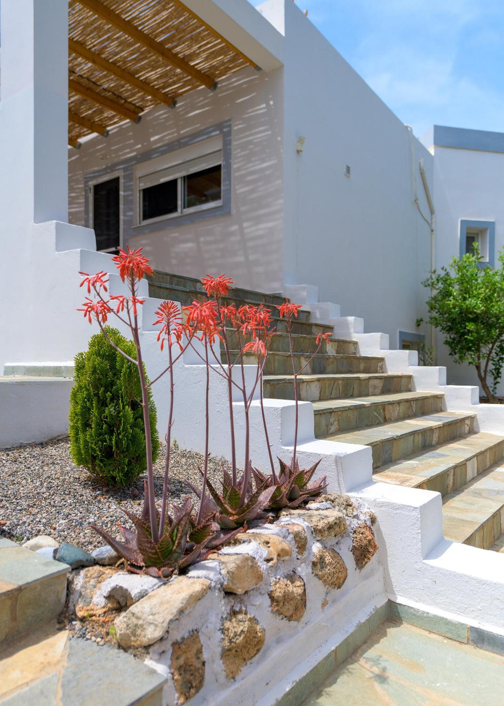 Villa Evelyn photo 3