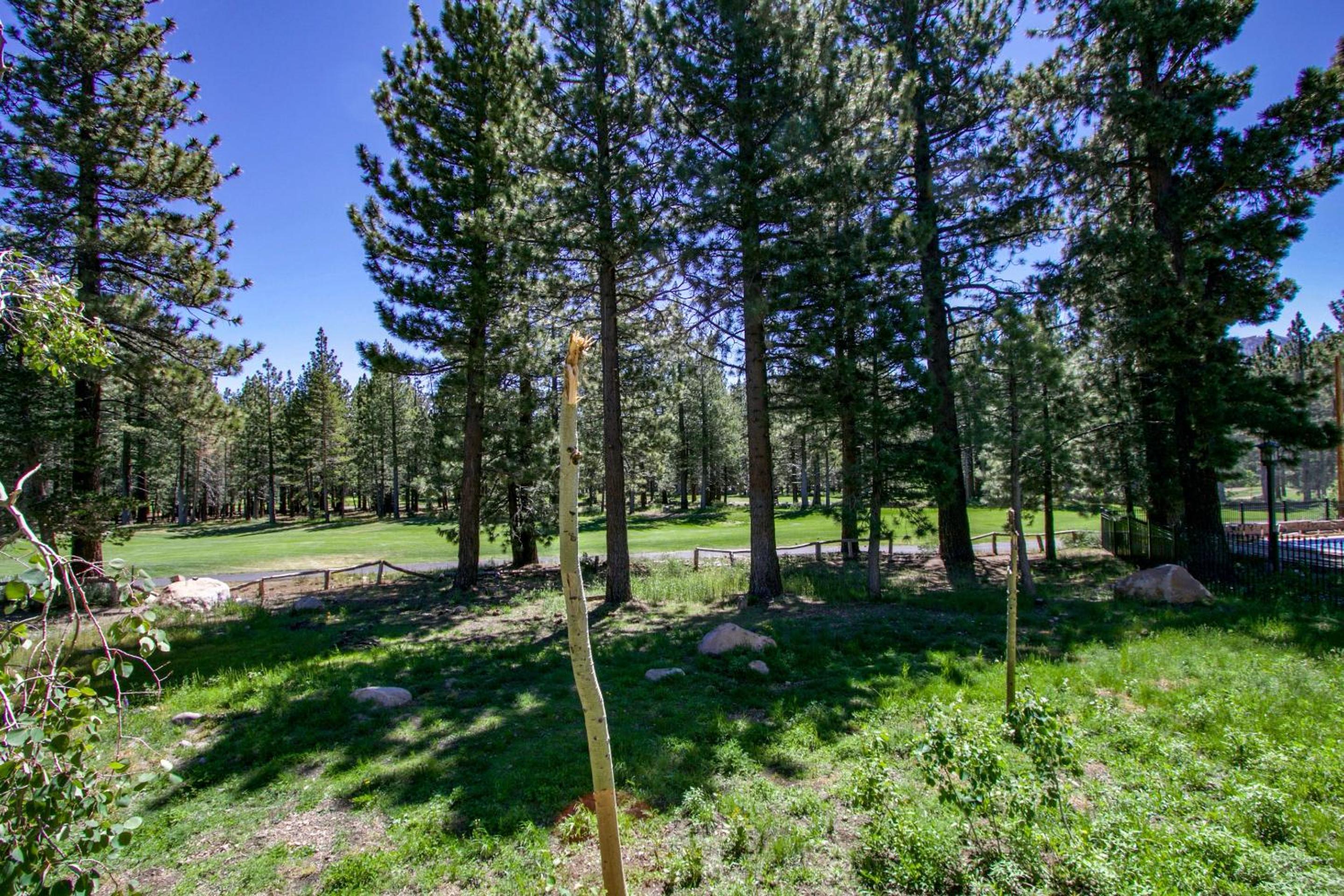 Mammoth Green 118 Located on Sierra Star Golf Course, Private Patio, Summer Pool condo view 2