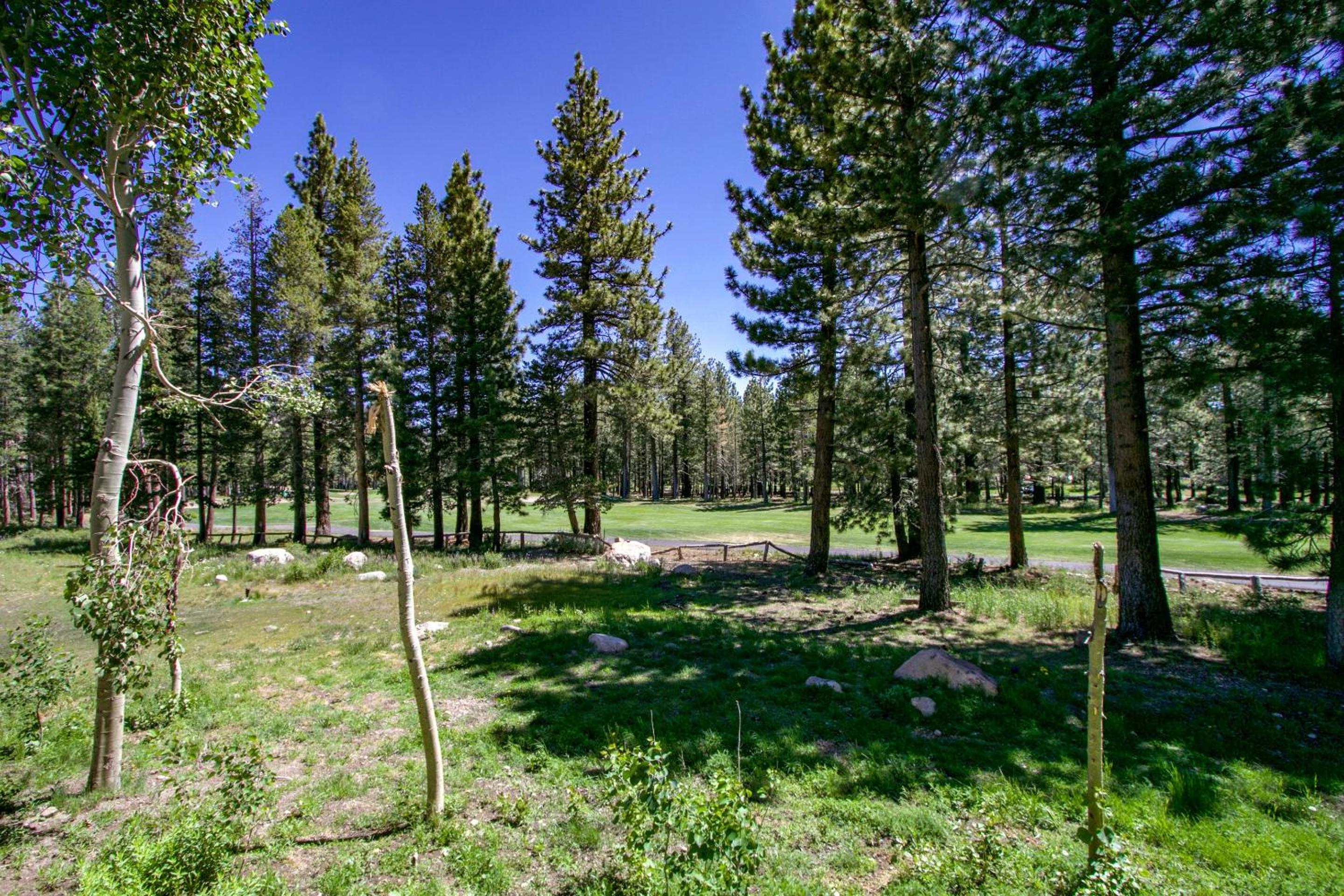 Mammoth Green 118 Located on Sierra Star Golf Course, Private Patio, Summer Pool condo view 3