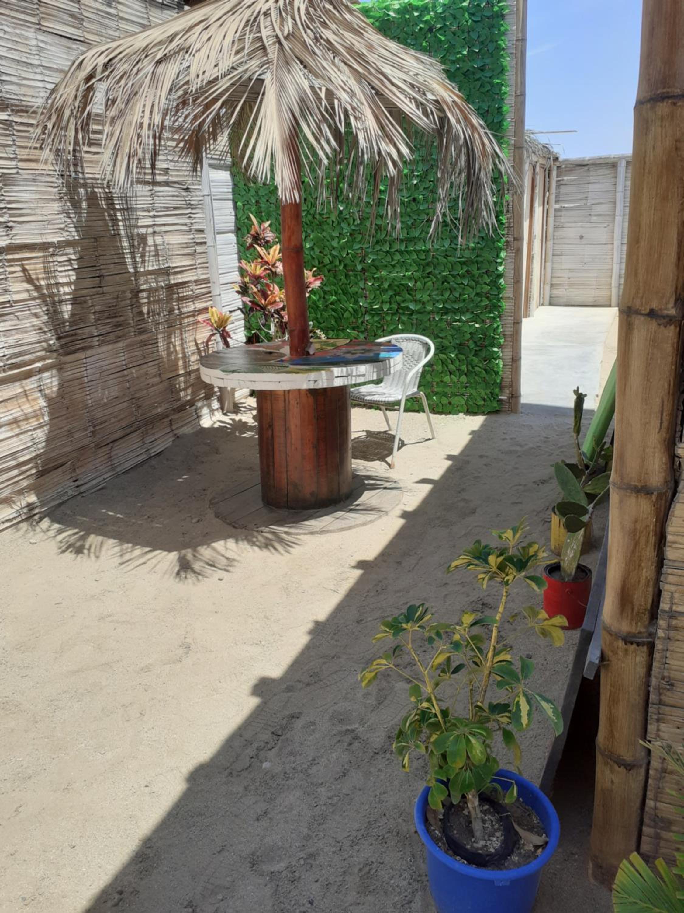 Photo 8