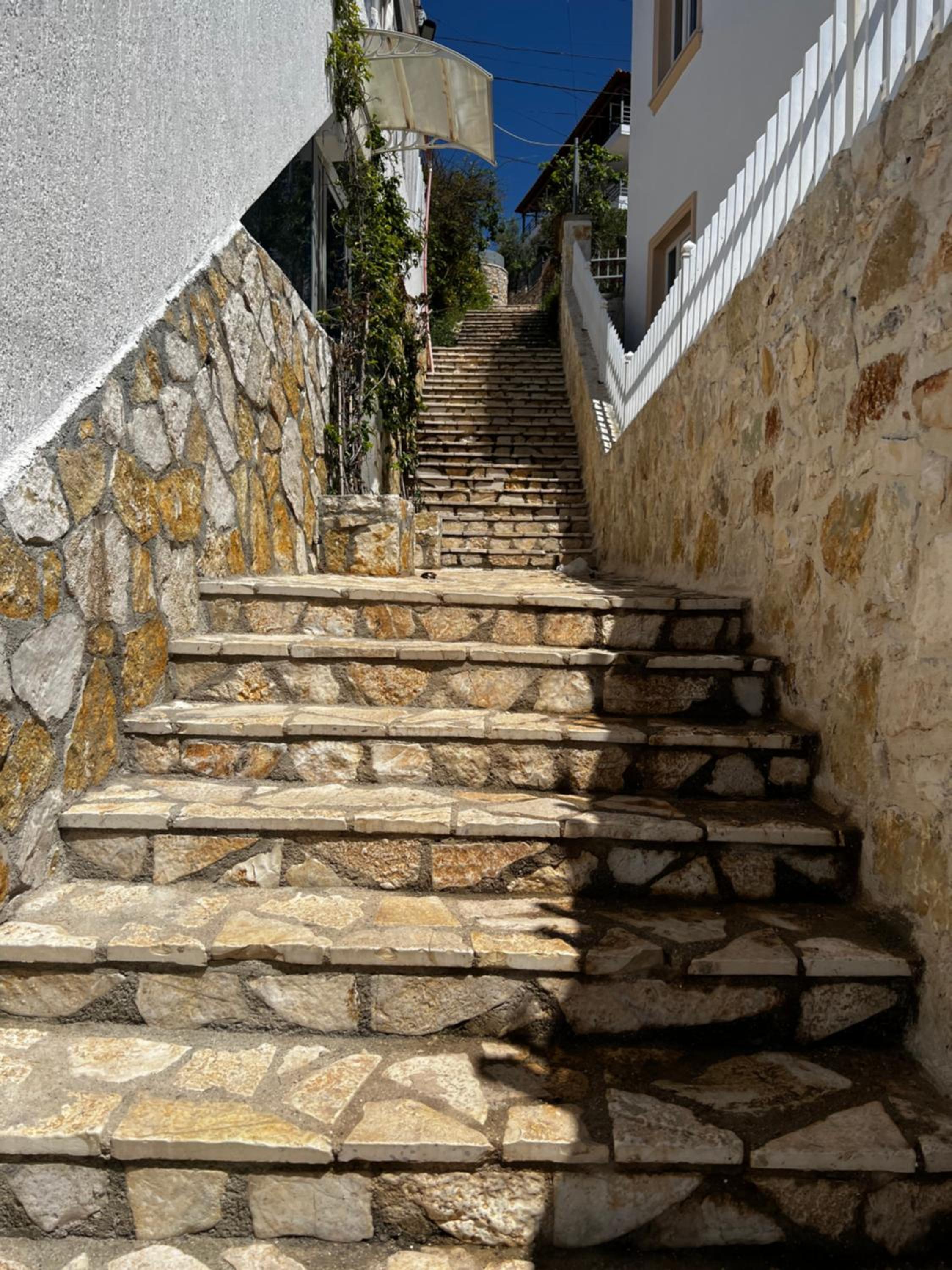 Fane's Apartments photo 4