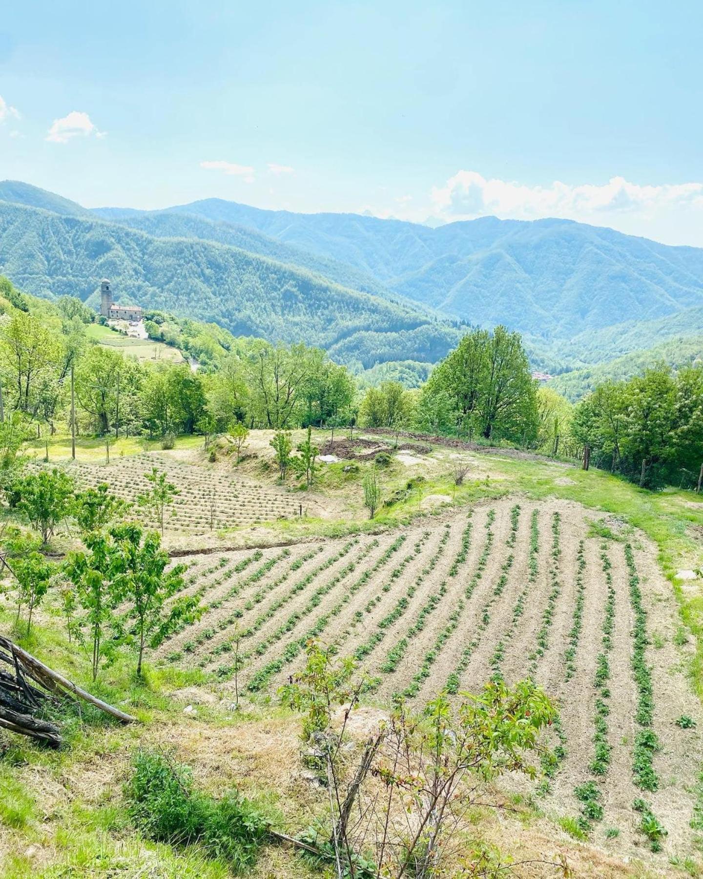 Agriturismo Montagna Verde Apella view 4