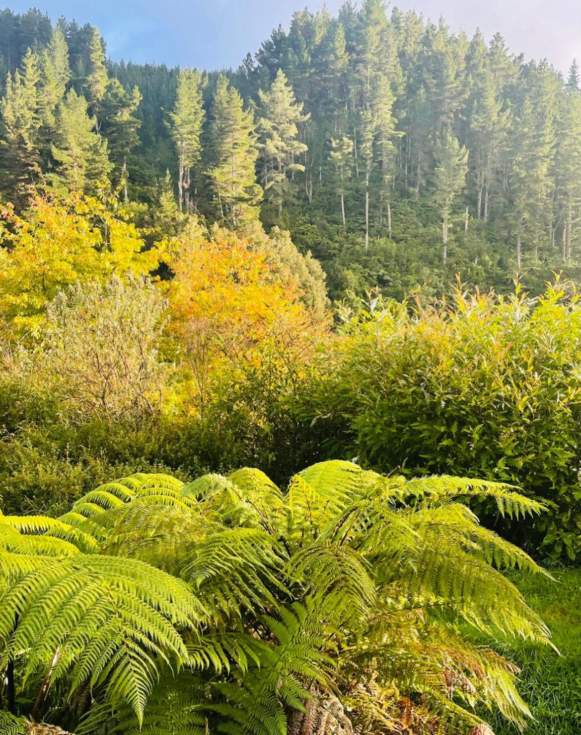 Photo 25