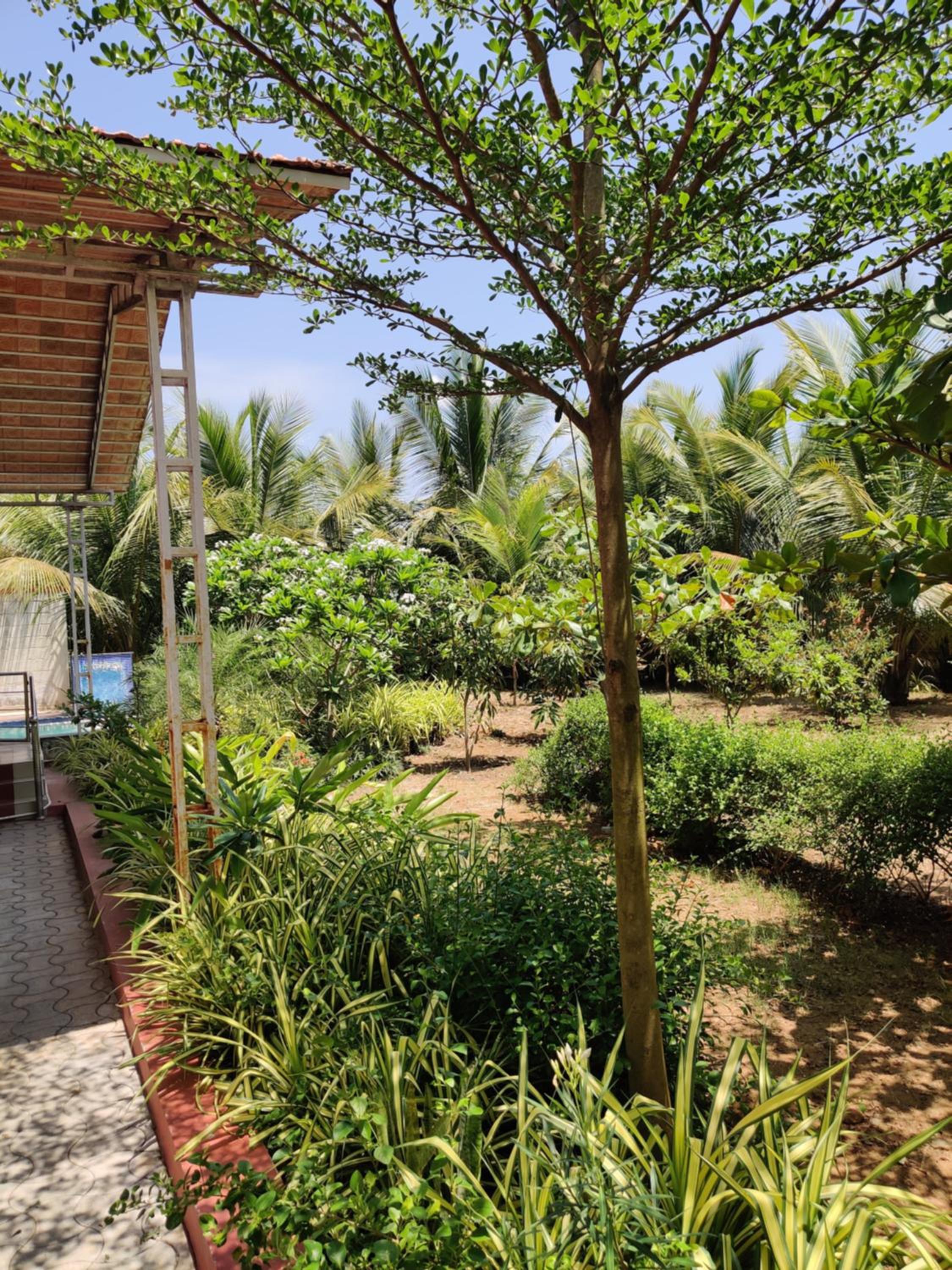 Narayani Resort - Serene resort with private swimming pool view 2