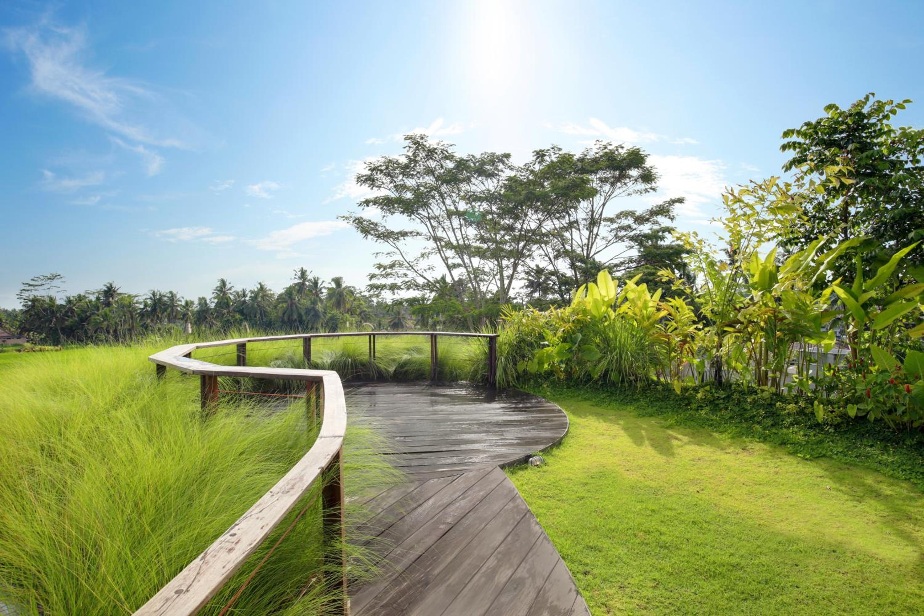 Photo 27