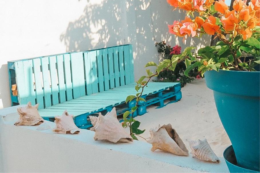 Beachfront Bella Horizonte 4
